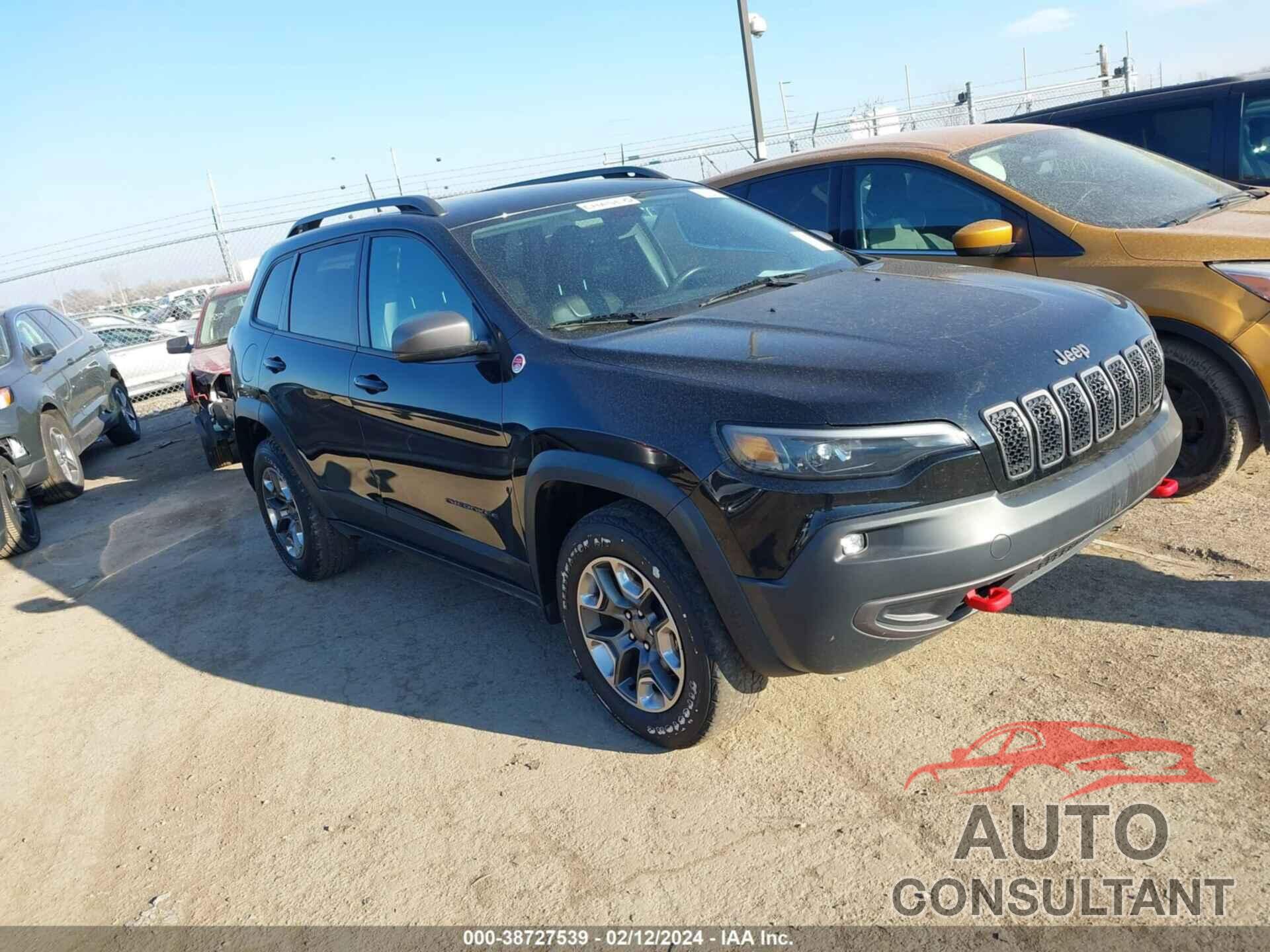 JEEP CHEROKEE 2019 - 1C4PJMBX3KD230950