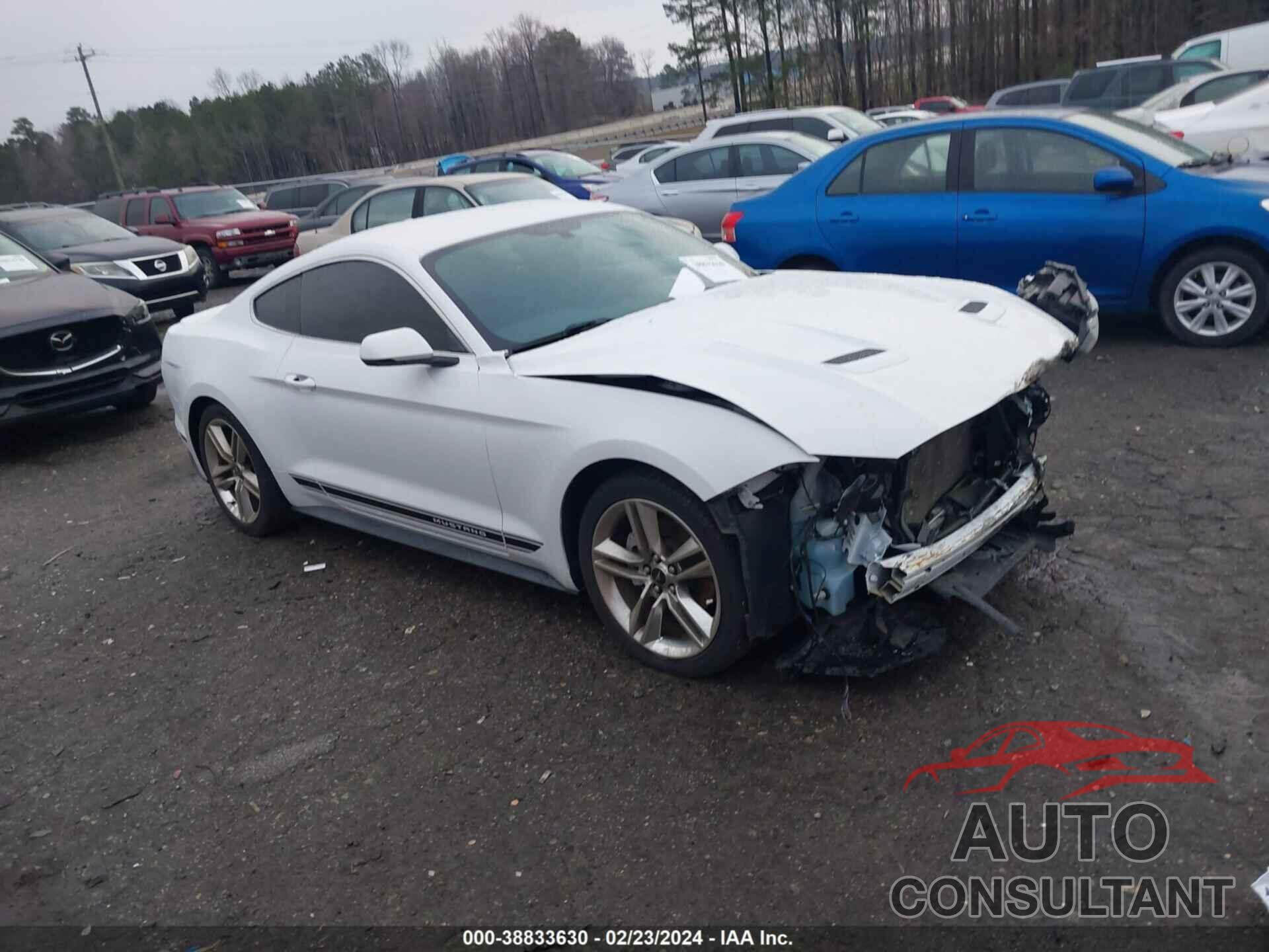 FORD MUSTANG 2019 - 1FA6P8TH3K5166319