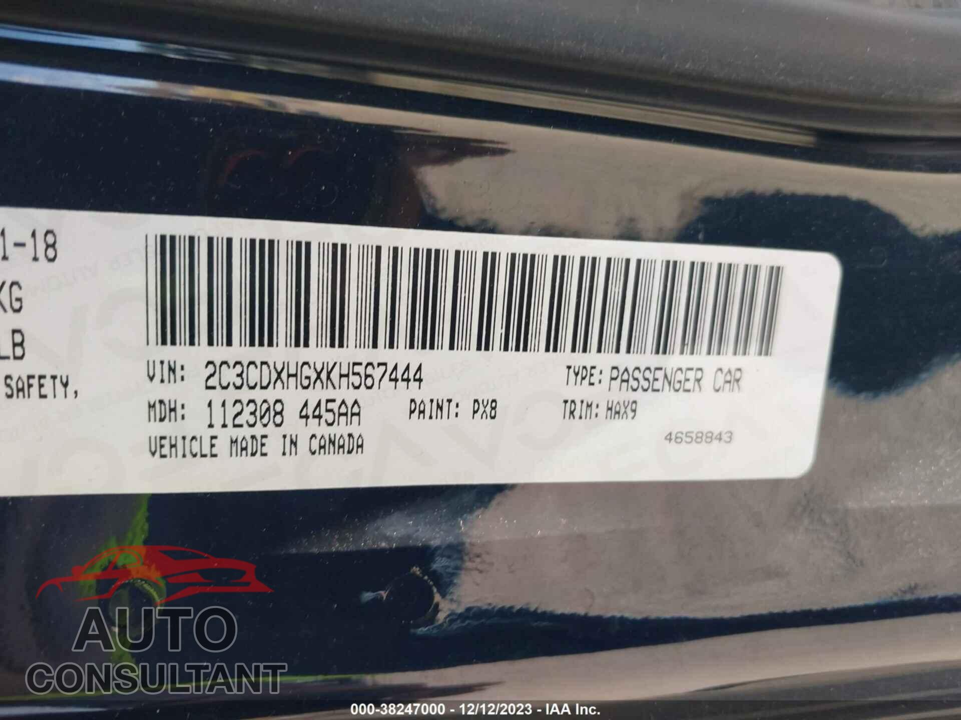DODGE CHARGER 2019 - 2C3CDXHGXKH567444