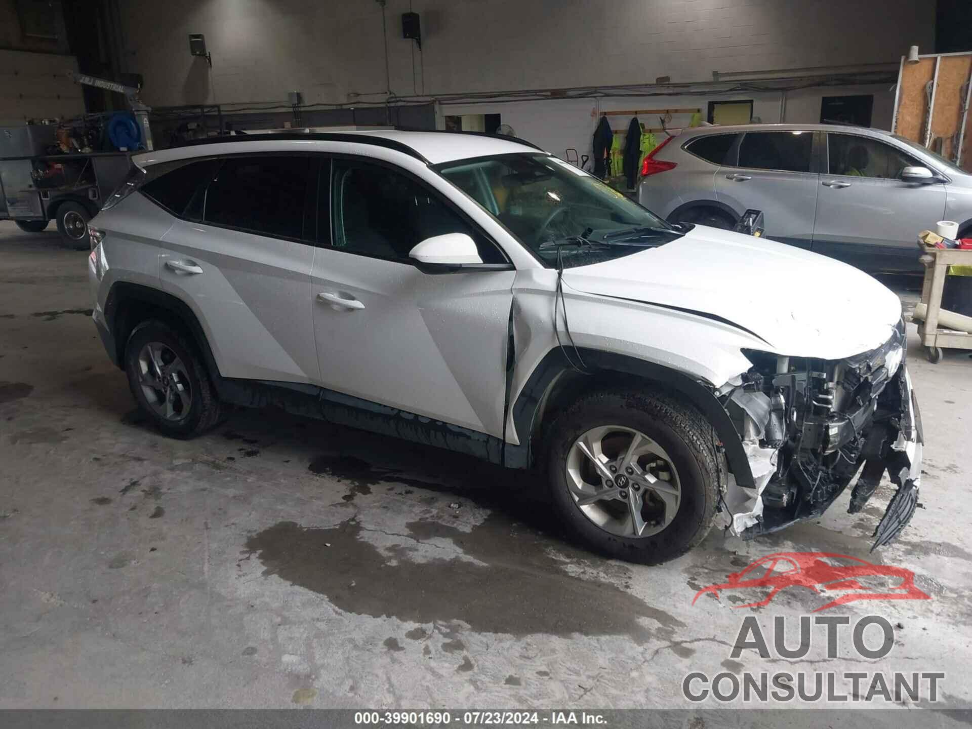 HYUNDAI TUCSON 2024 - 5NMJBCDEXRH328299