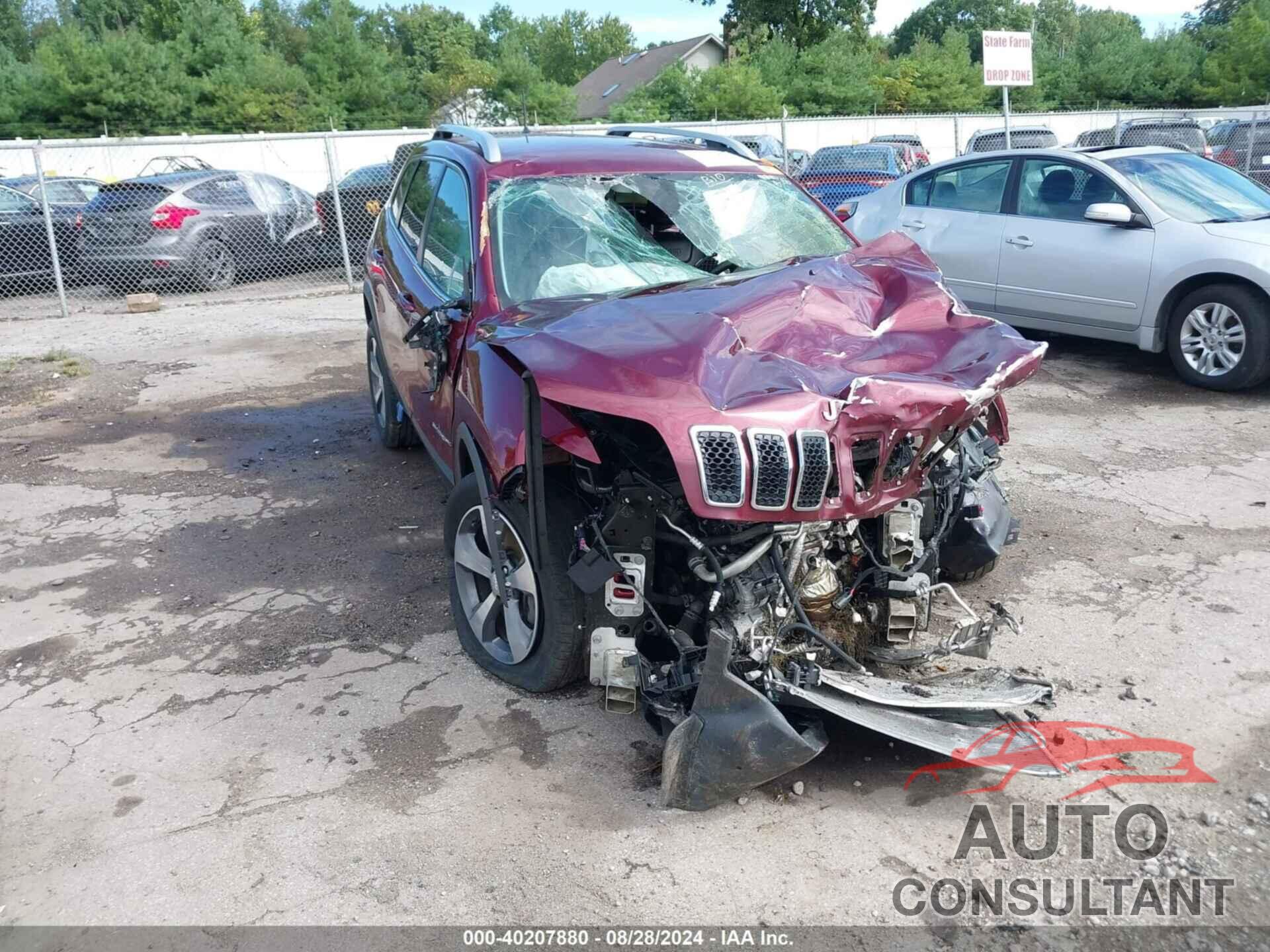 JEEP CHEROKEE 2019 - 1C4PJMDX4KD198071