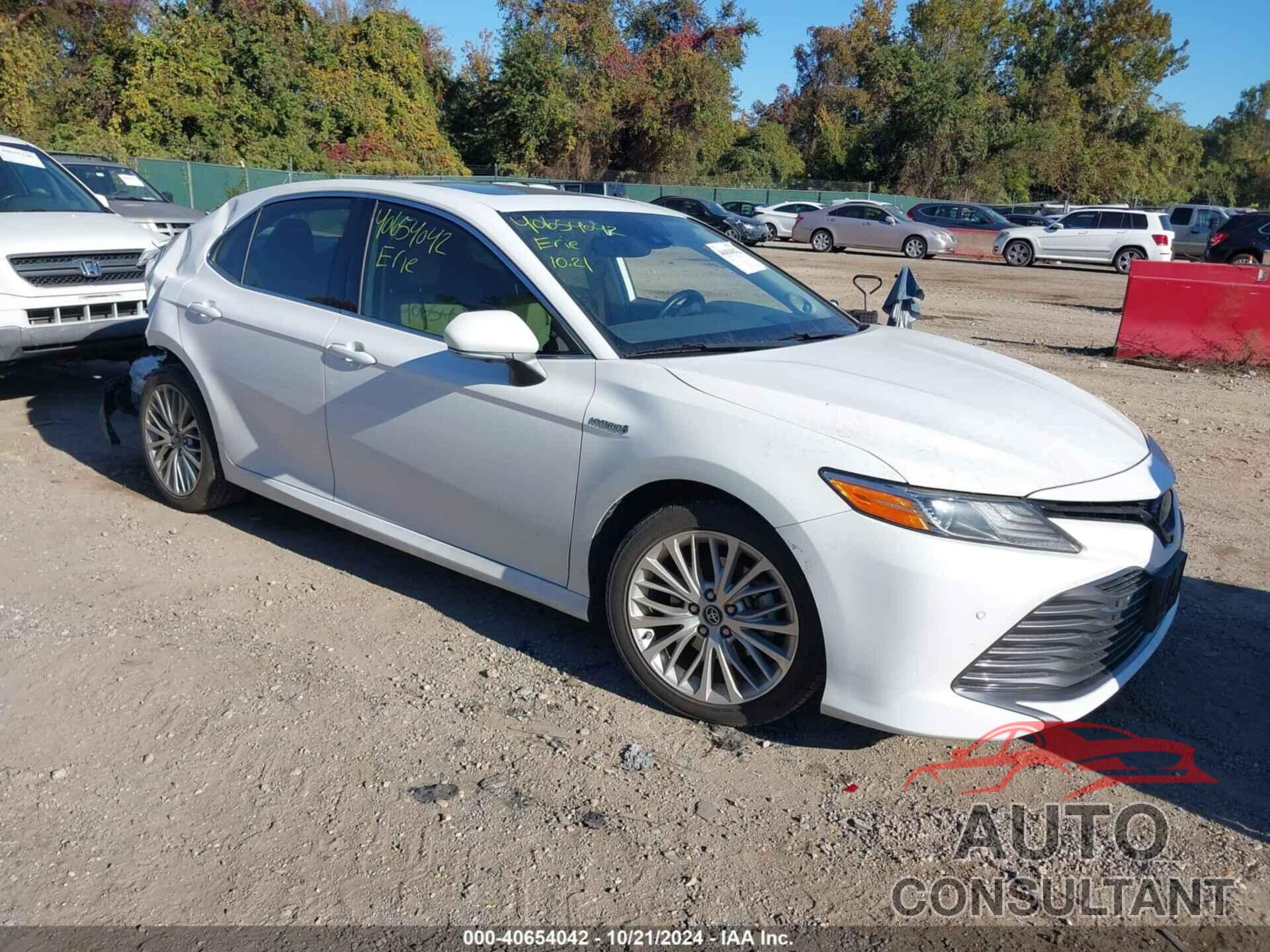 TOYOTA CAMRY HYBRID 2019 - 4T1B21HK8KU511025