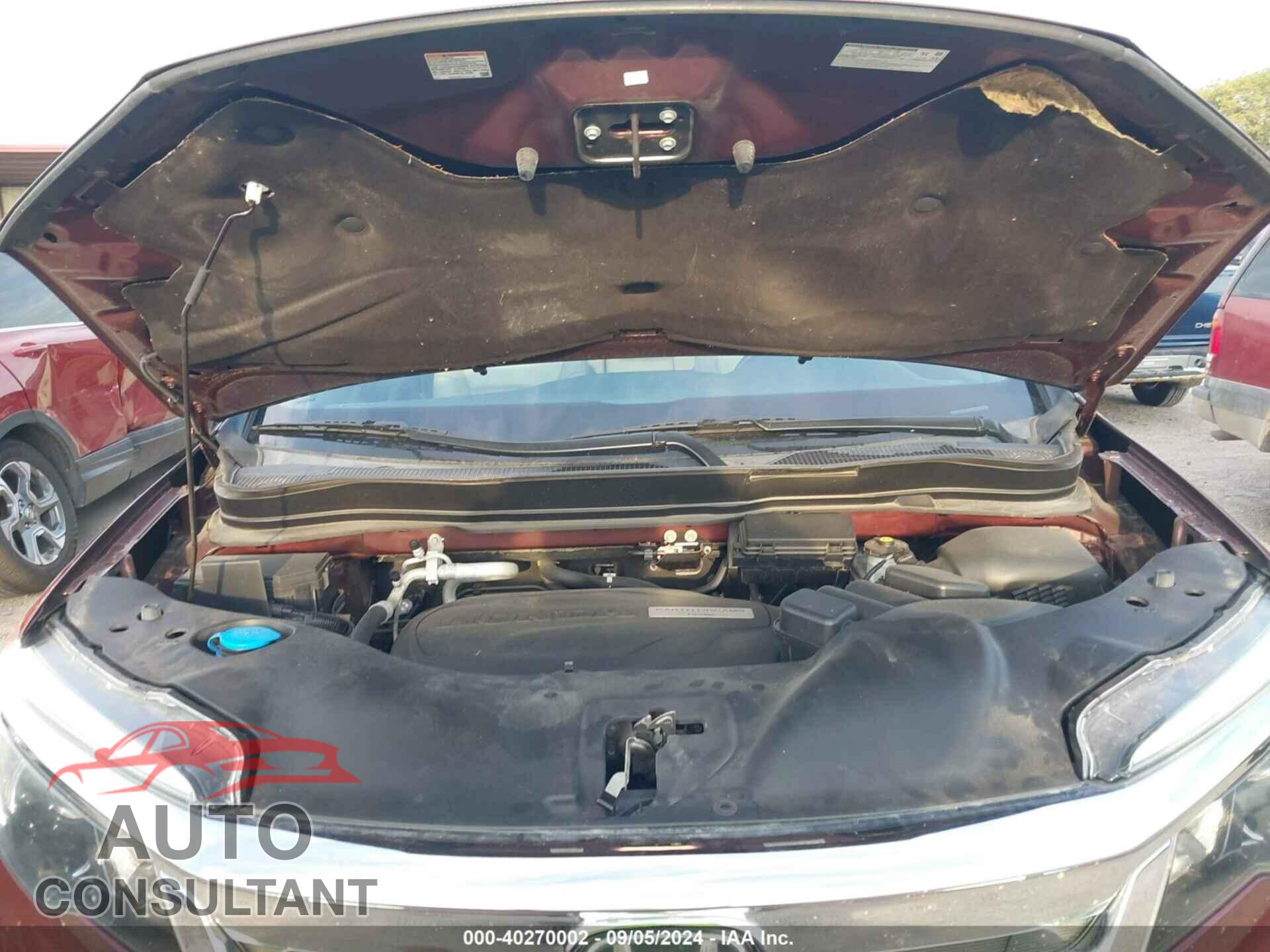 HONDA PILOT 2019 - 5FNYF6H55KB073938