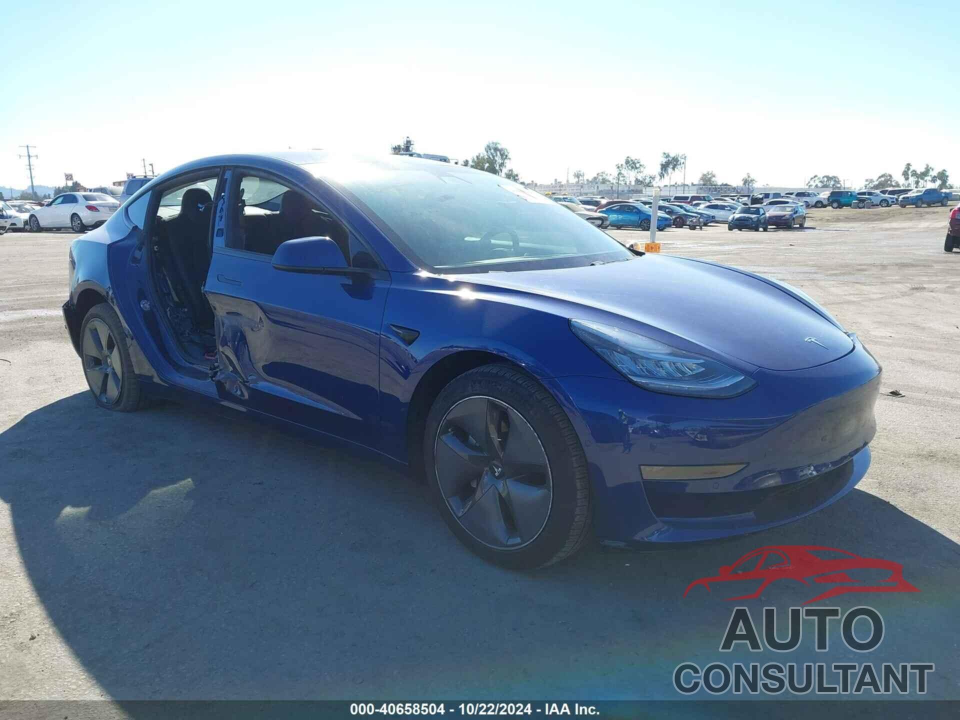 TESLA MODEL 3 2021 - 5YJ3E1EA1MF921513