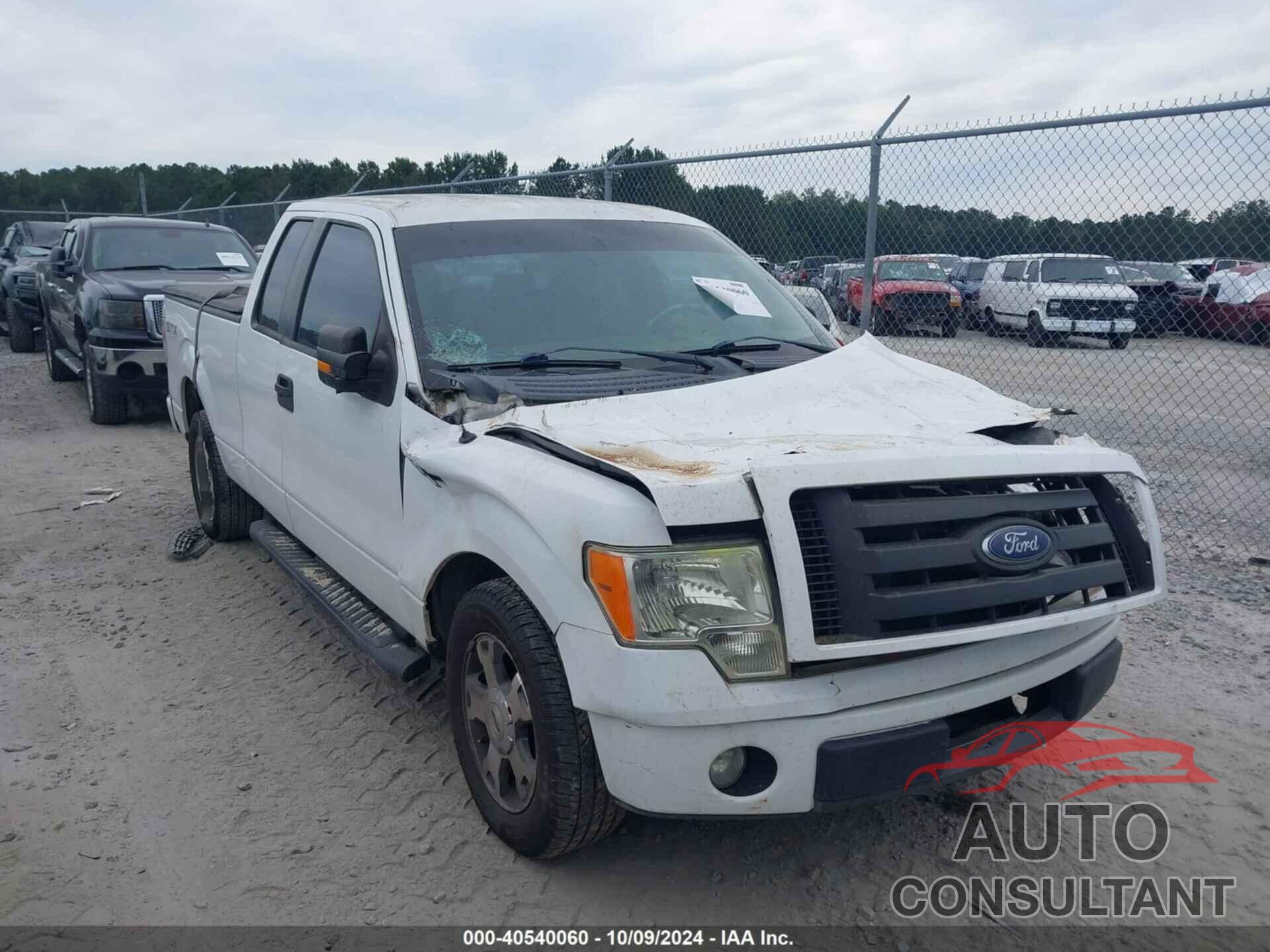 FORD F-150 2009 - 1FTRX12W49KA73707