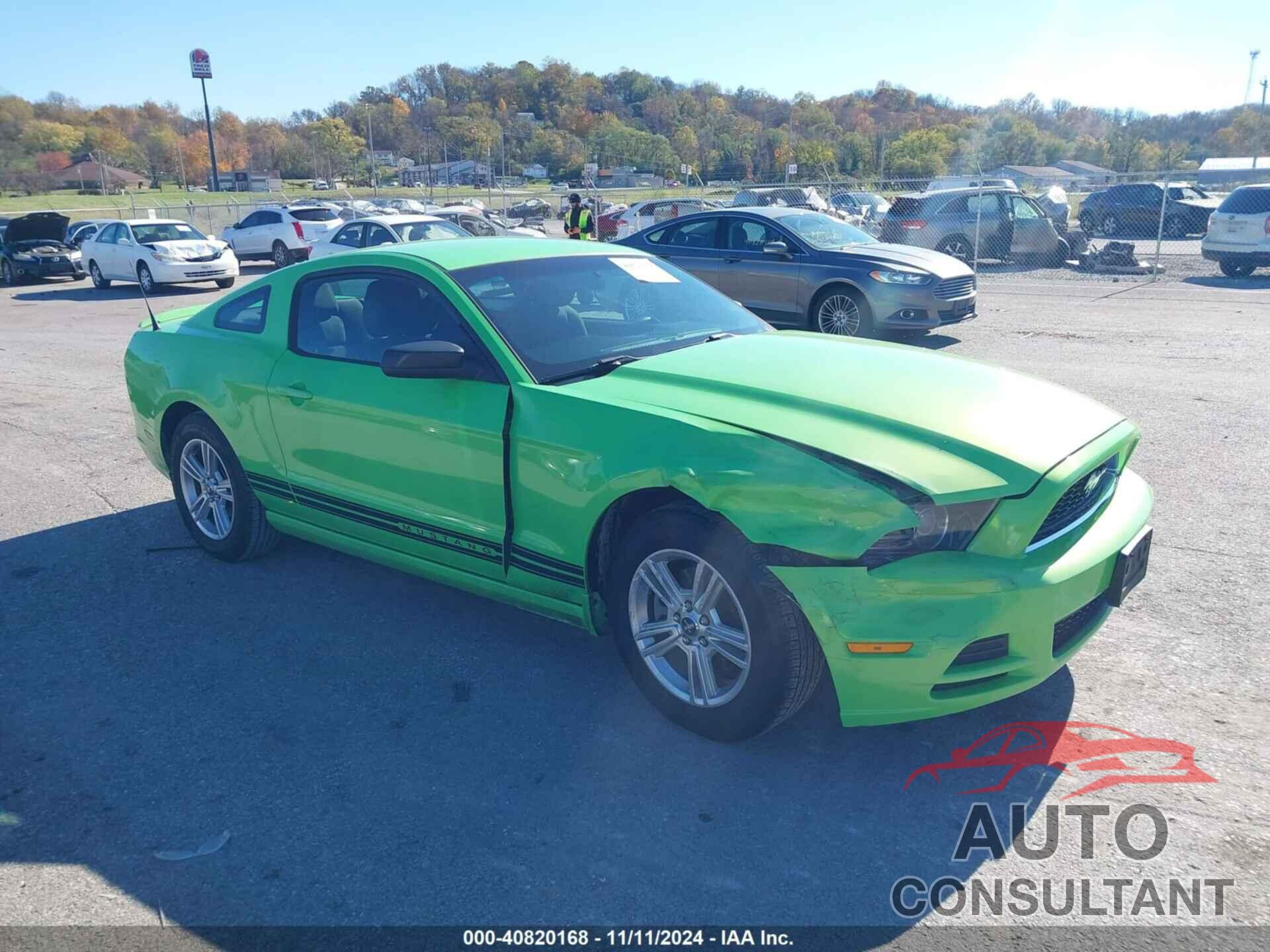 FORD MUSTANG 2013 - 1ZVBP8AM9D5221266