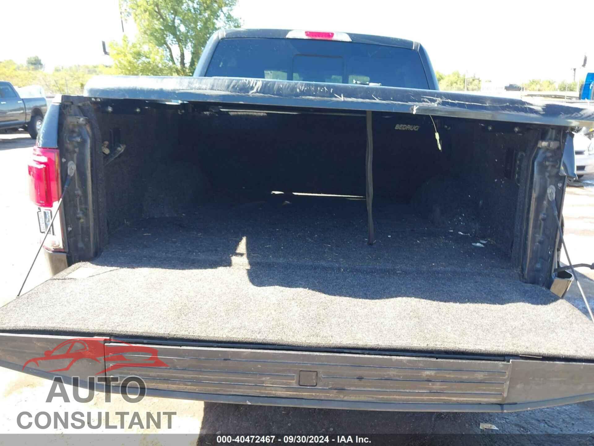 FORD F-150 2015 - 1FTEW1EG2FFB69801