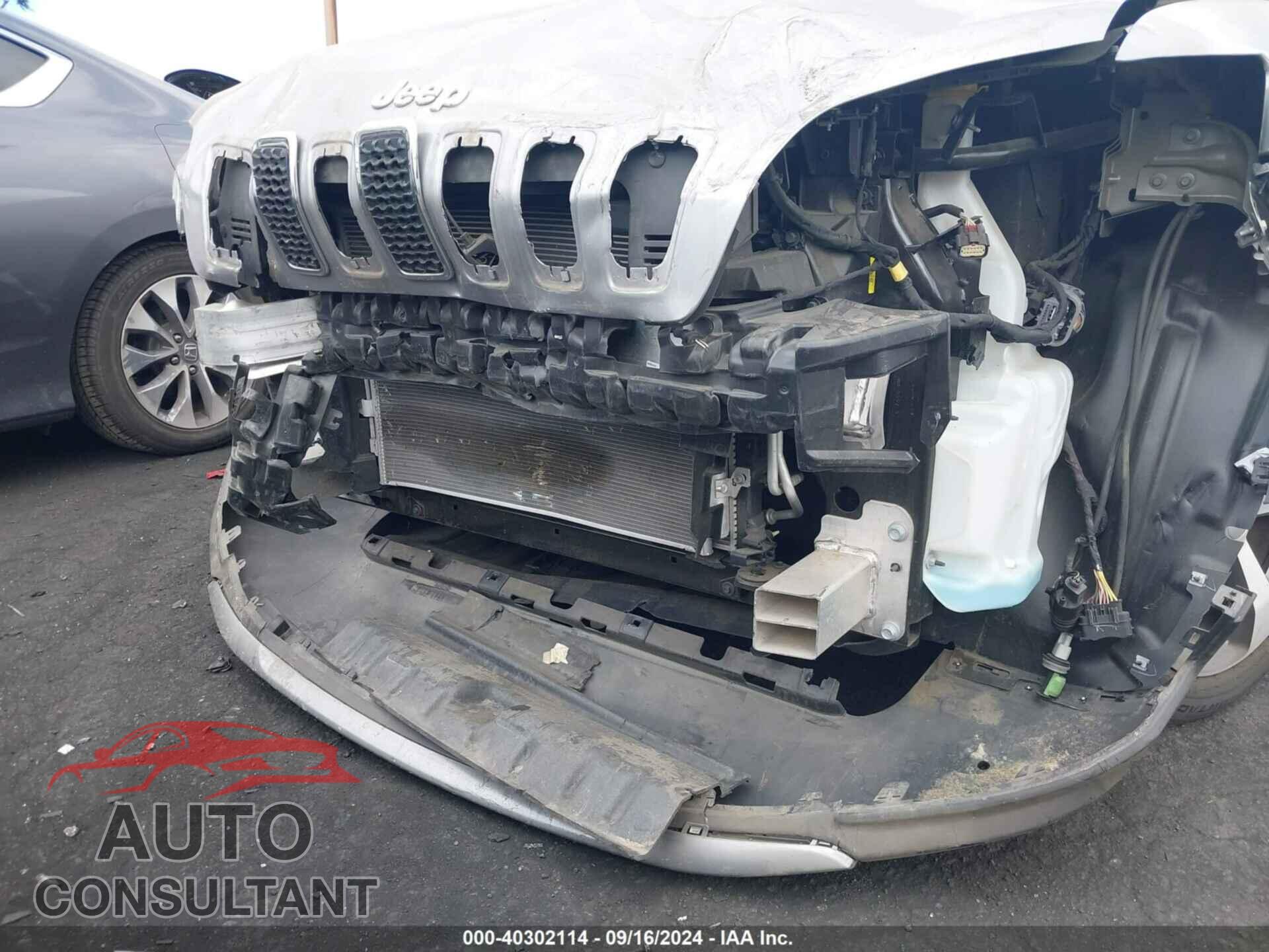 JEEP CHEROKEE 2020 - 1C4PJLDB4LD620193