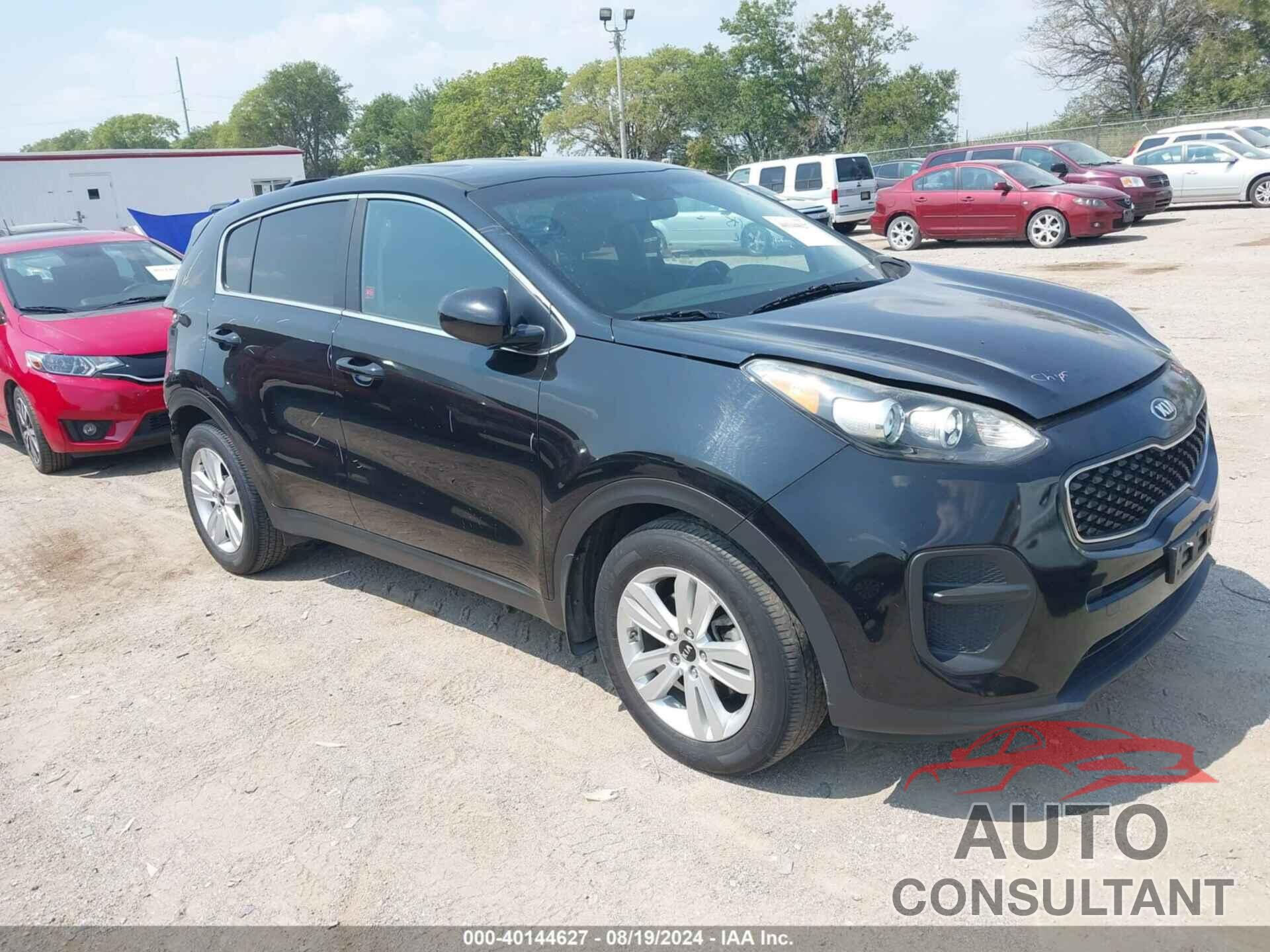 KIA SPORTAGE 2019 - KNDPM3AC7K7546916