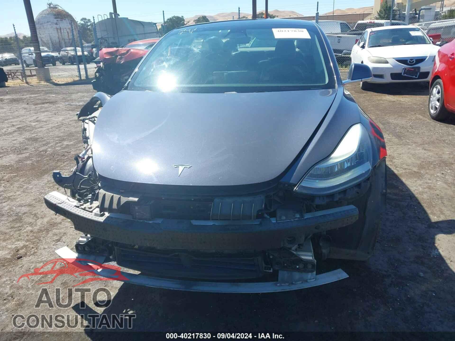 TESLA MODEL 3 2019 - 5YJ3E1EB0KF492919