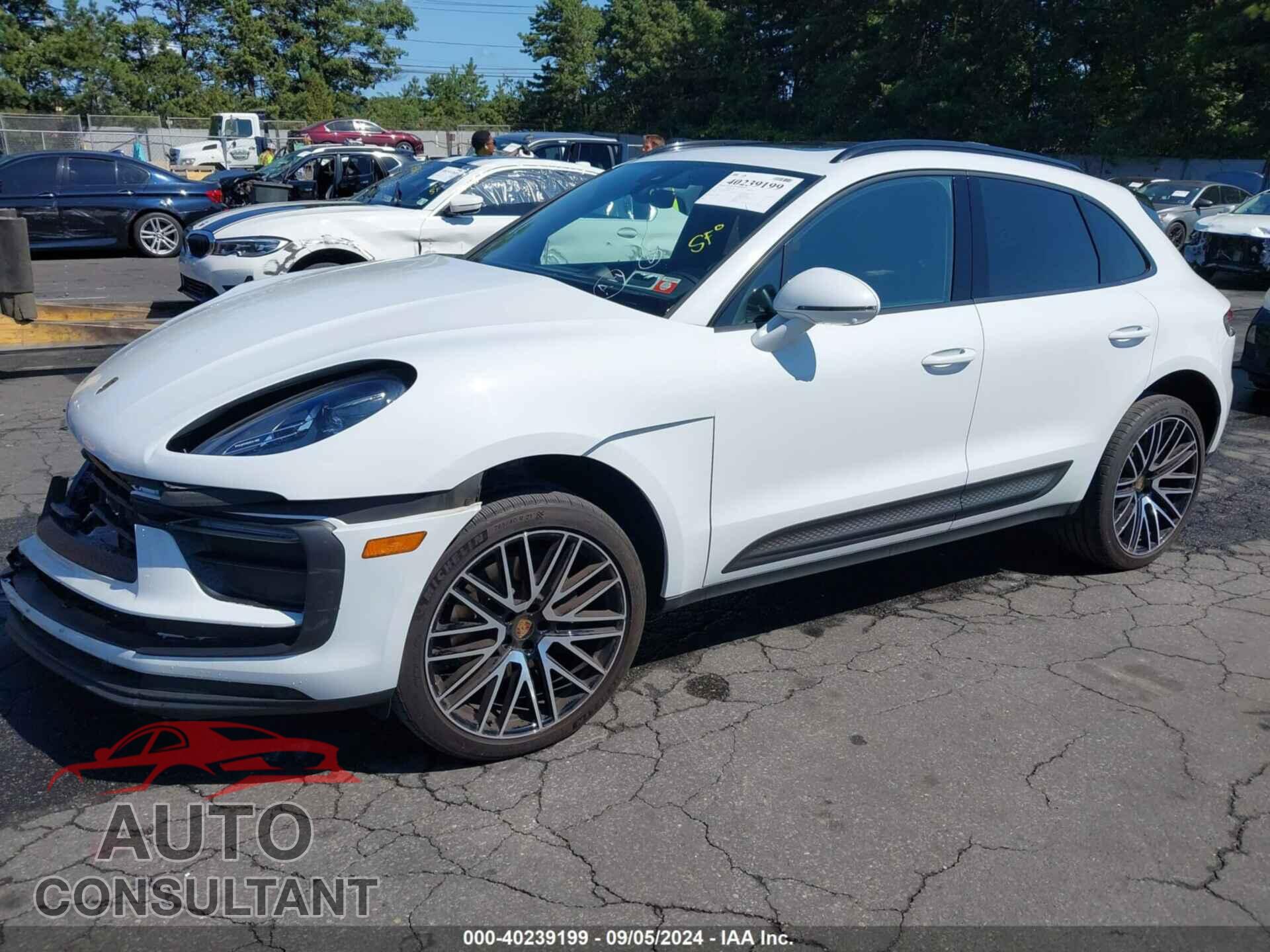PORSCHE MACAN 2023 - WP1AA2A59PLB01259