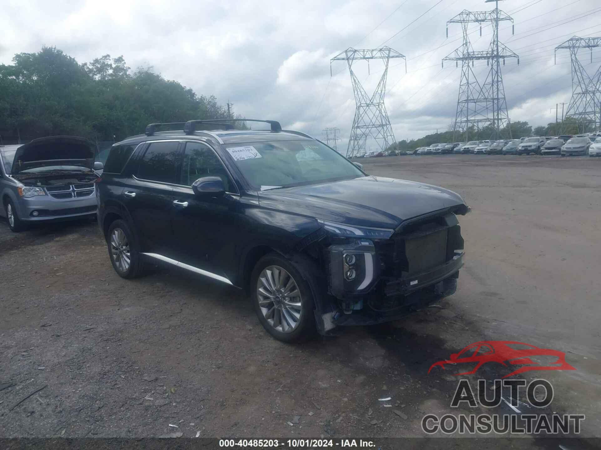 HYUNDAI PALISADE 2020 - KM8R5DHE1LU139076