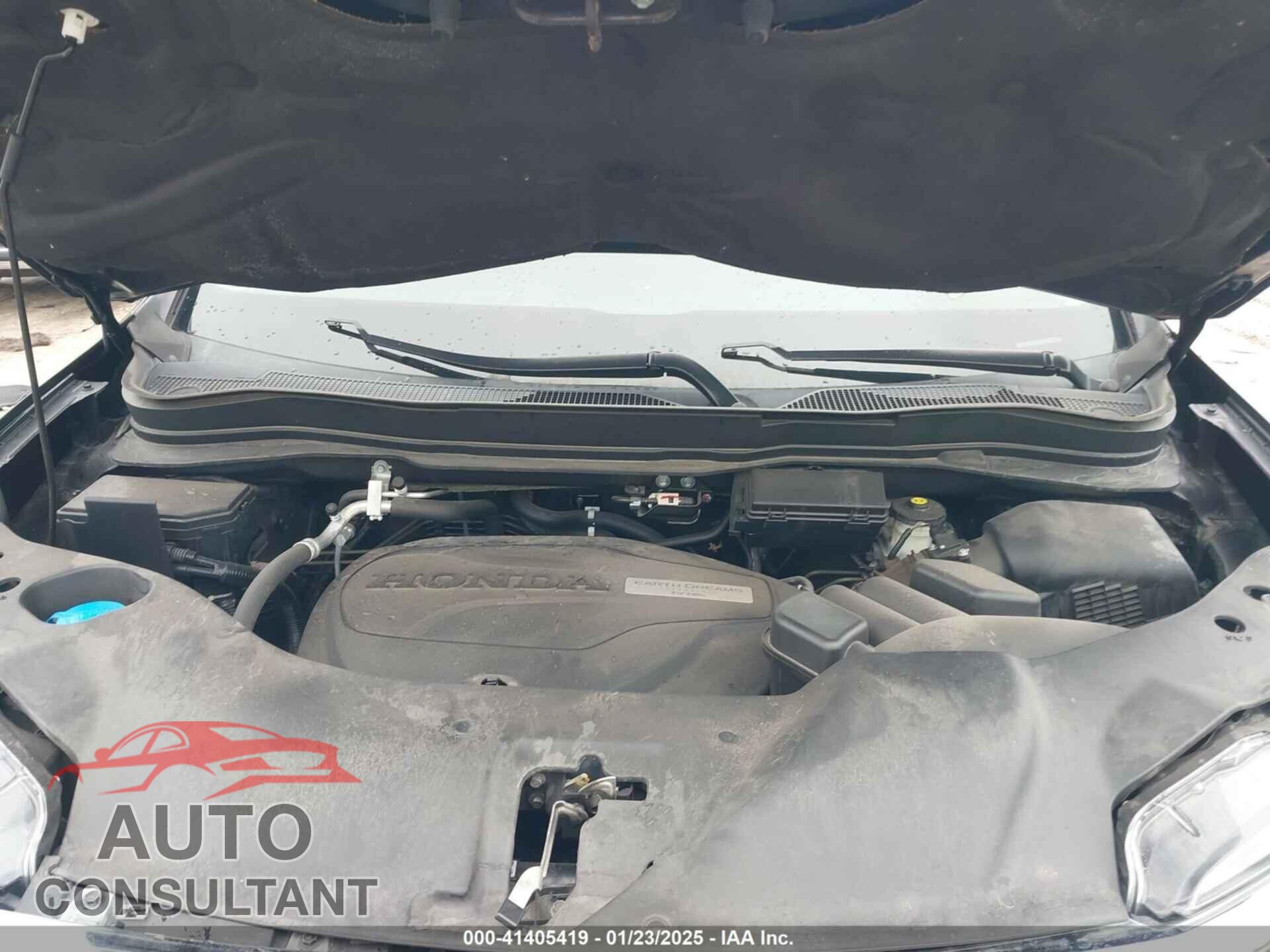 HONDA RIDGELINE 2019 - 5FPYK3F10KB044848