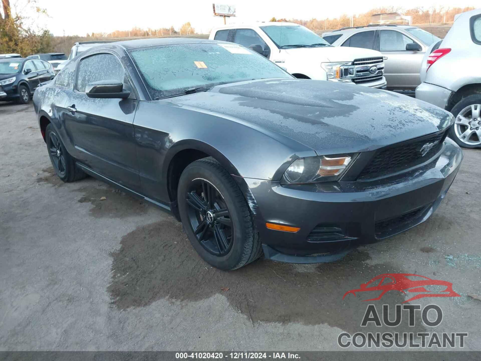 FORD MUSTANG 2010 - 1ZVBP8AN9A5169724