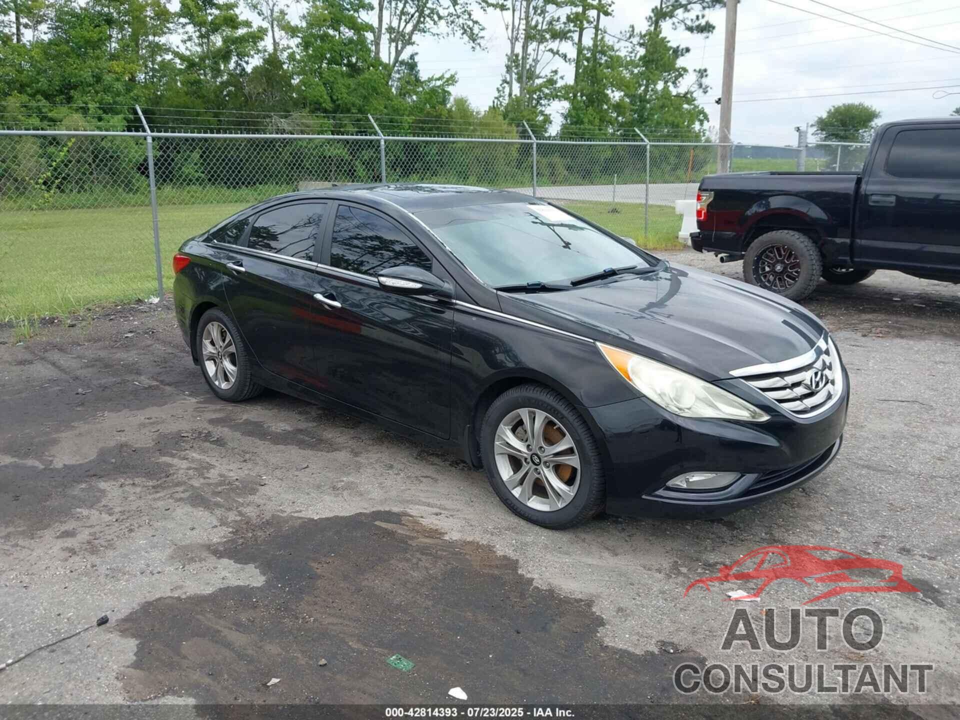 HYUNDAI SONATA 2013 - 5NPEC4AC2DH527348