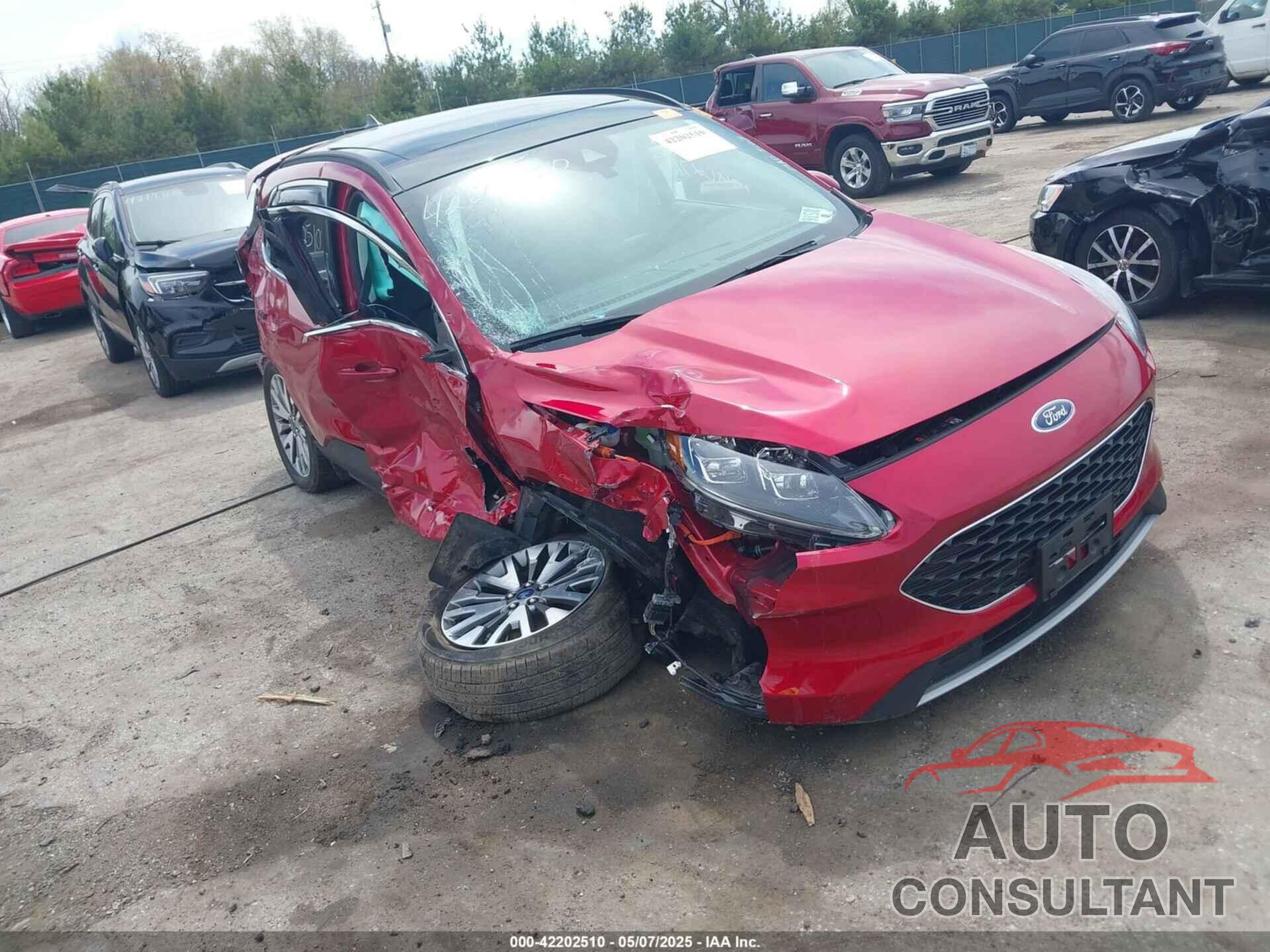 FORD ESCAPE 2022 - 1FMCU9DZ1NUA34474
