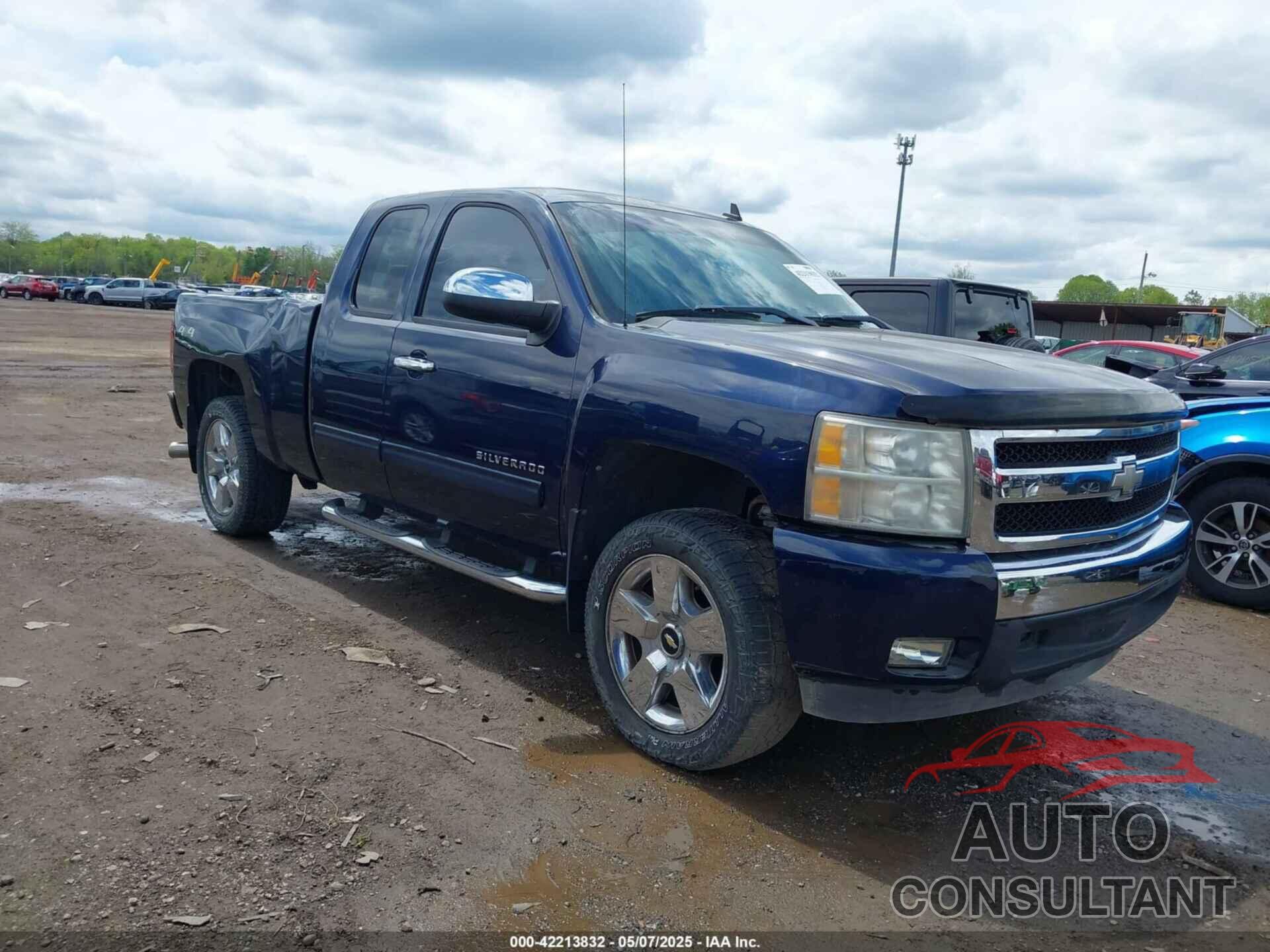 CHEVROLET SILVERADO 1500 2010 - 1GCSKSE38AZ292981
