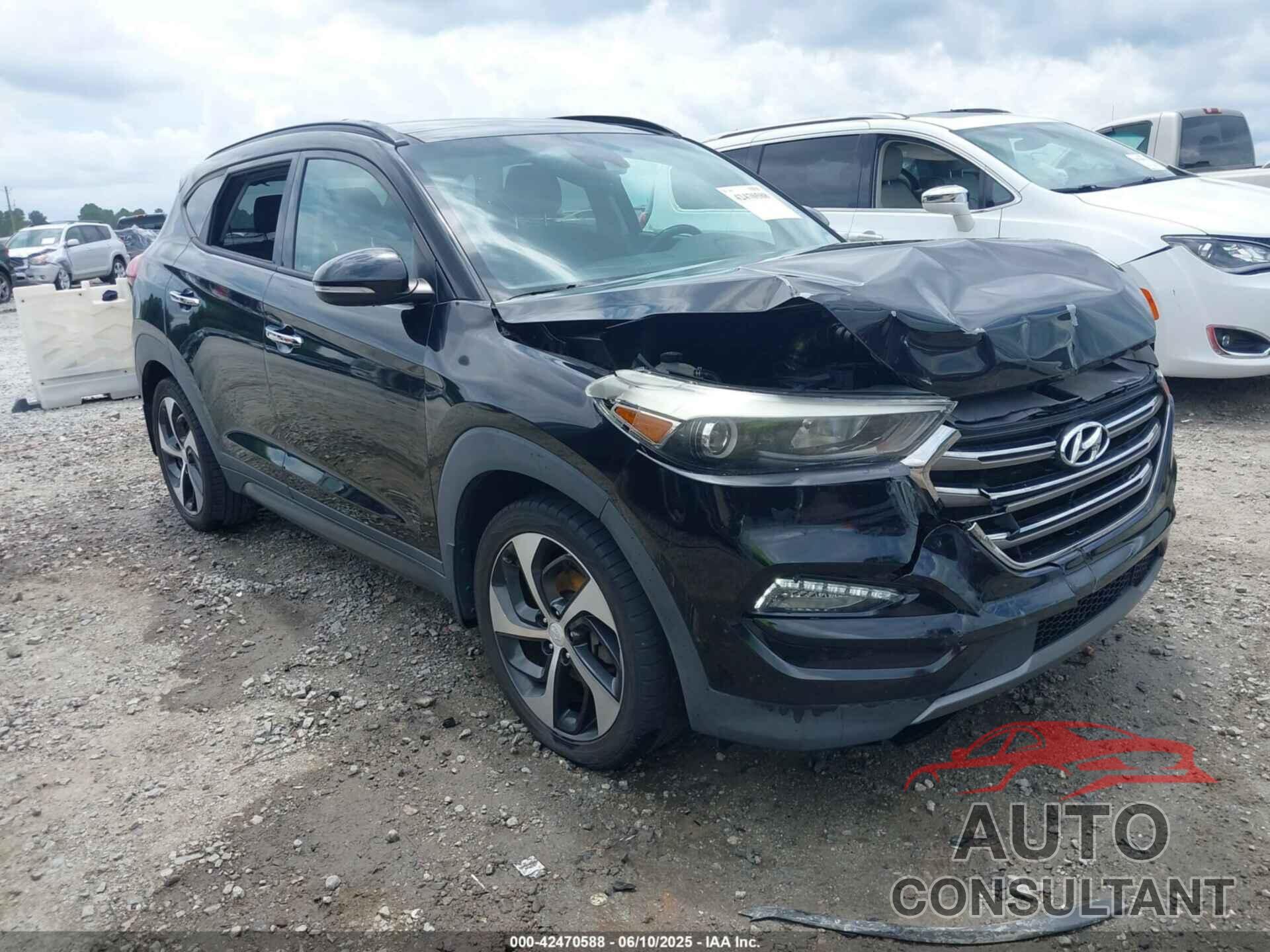 HYUNDAI TUCSON 2016 - KM8J33A26GU249740