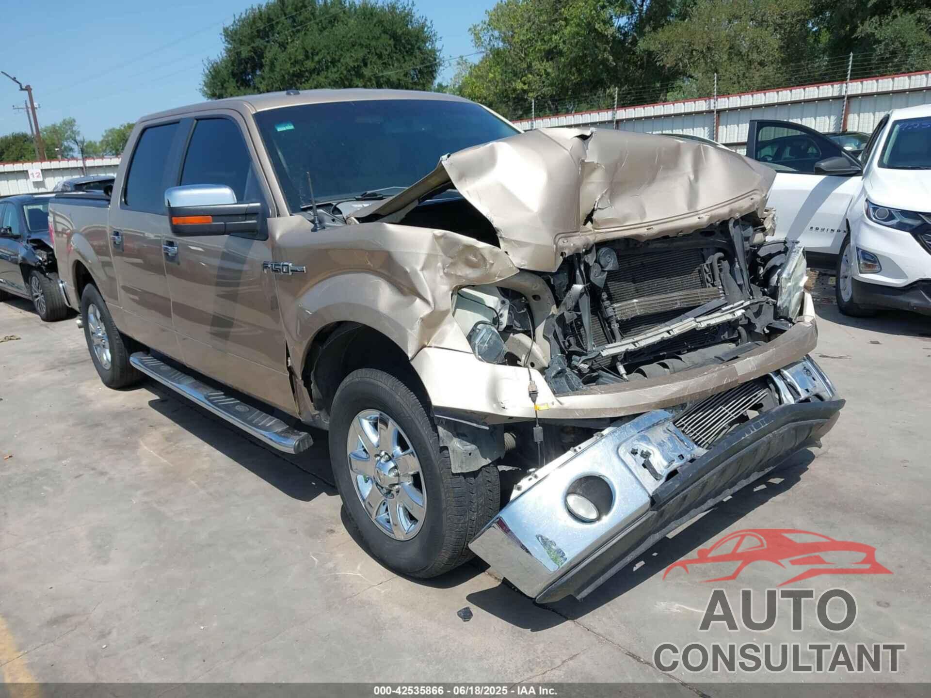 FORD F-150 2013 - 1FTEW1CM1DKF70849