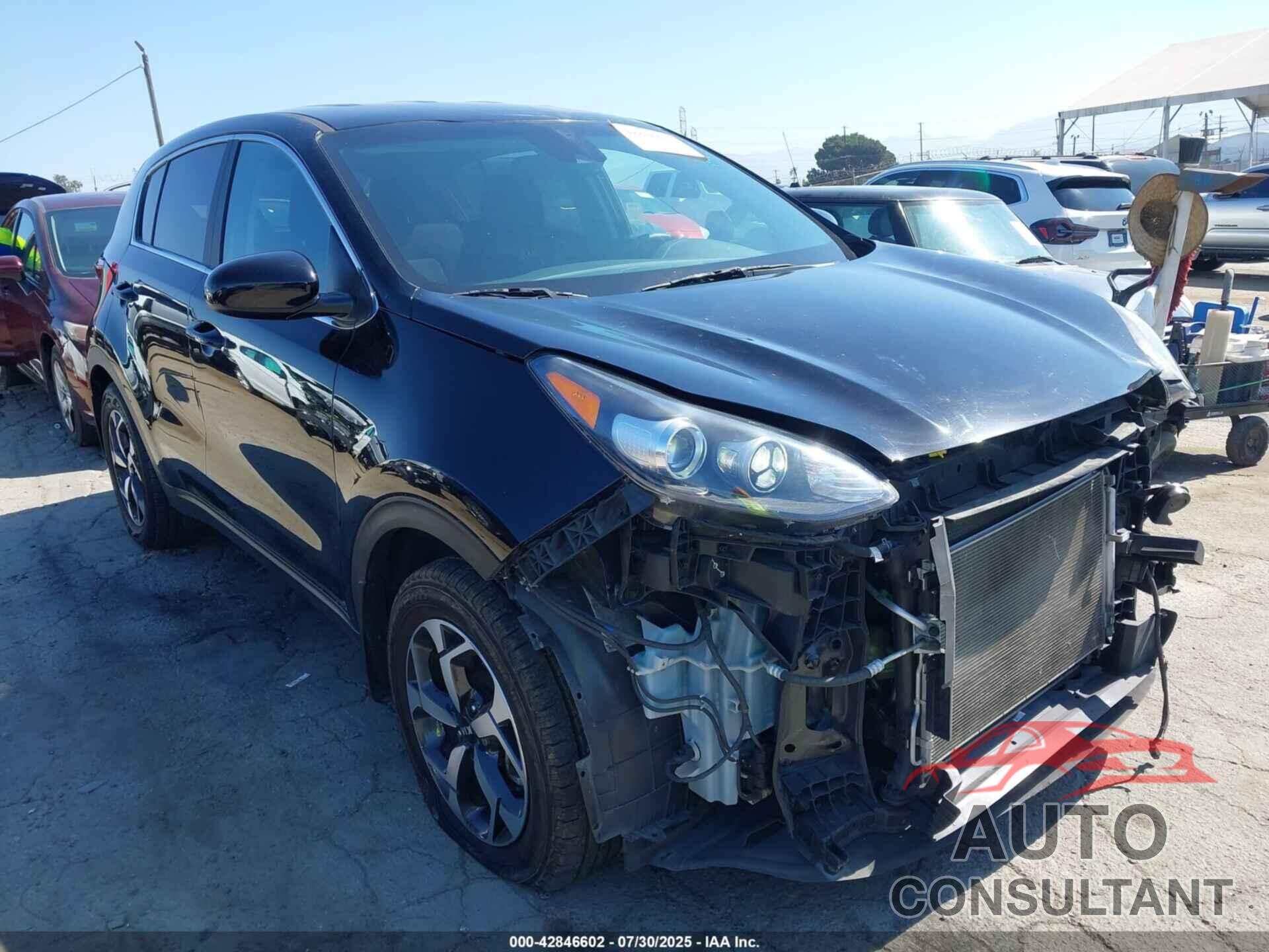 KIA SPORTAGE 2022 - KNDPM3AC6N7019793