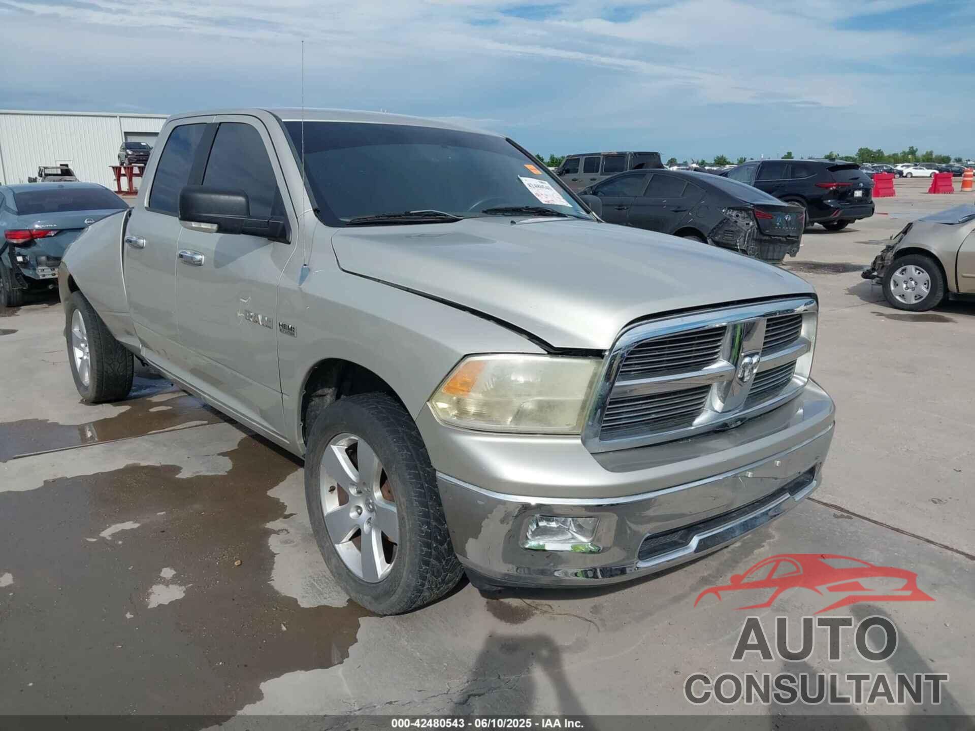 DODGE RAM 1500 2010 - 1D7RB1GT2AS194789