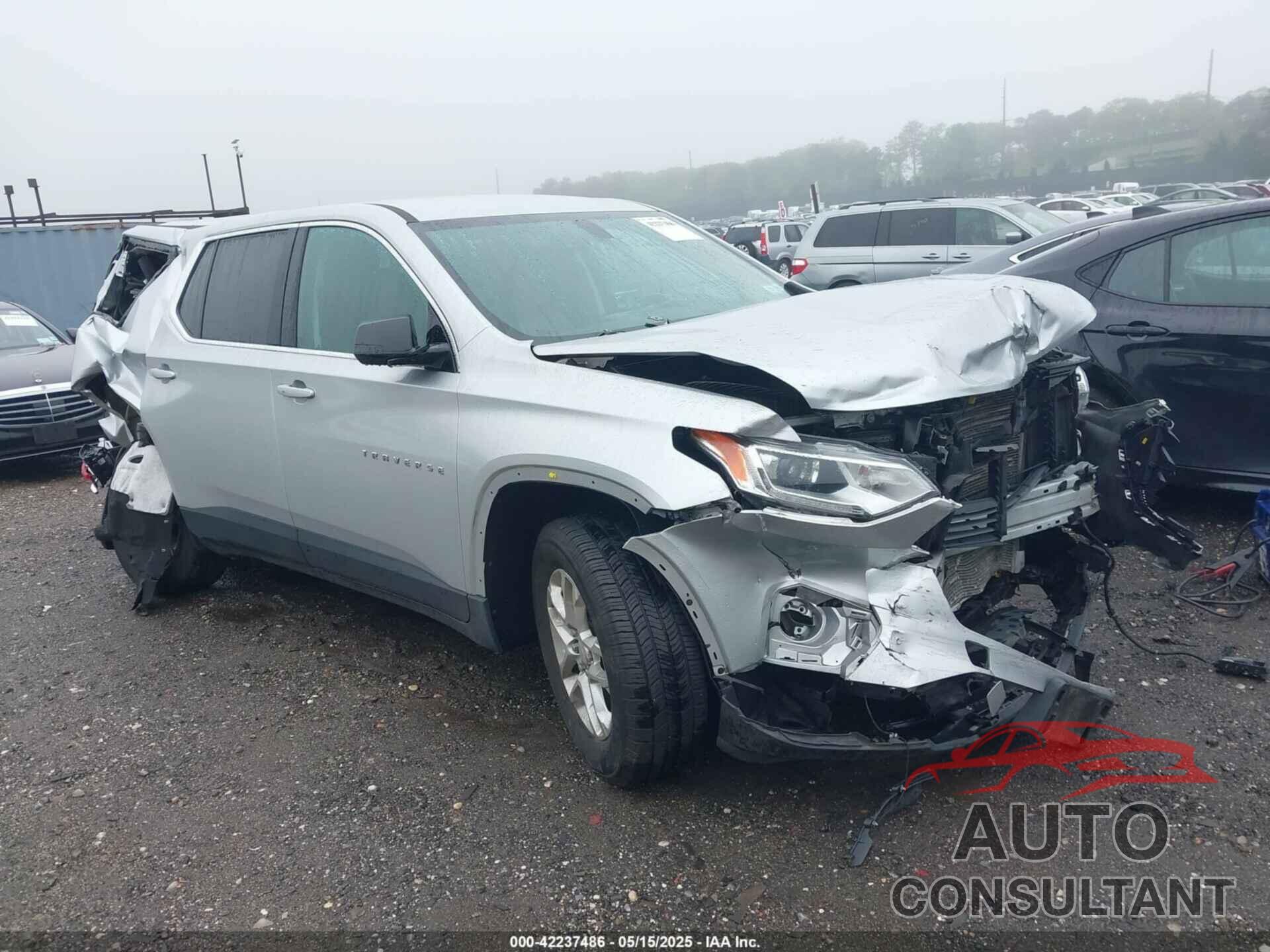CHEVROLET TRAVERSE 2019 - 1GNERFKW4KJ156921