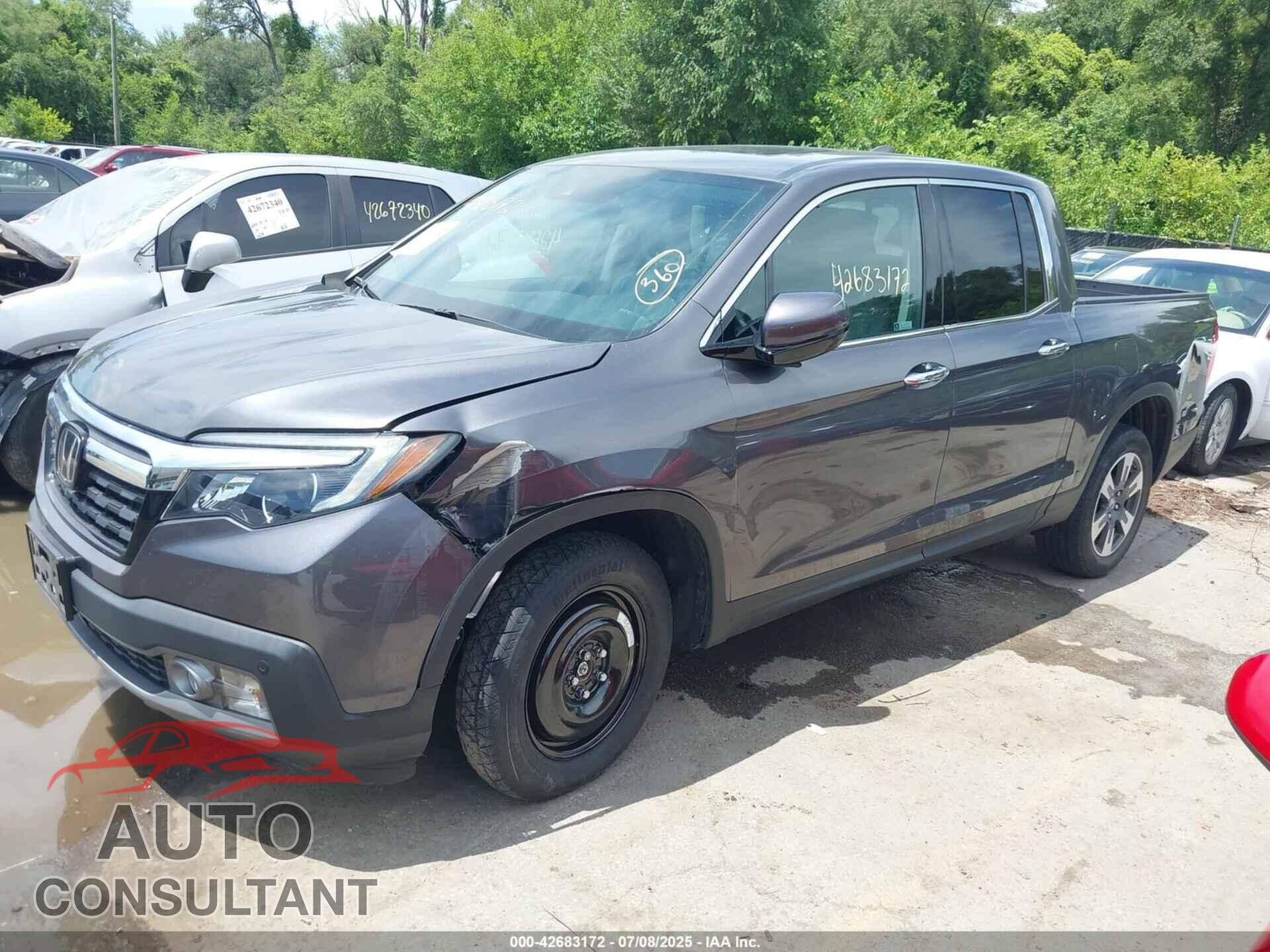 HONDA RIDGELINE 2019 - 5FPYK3F78KB005140