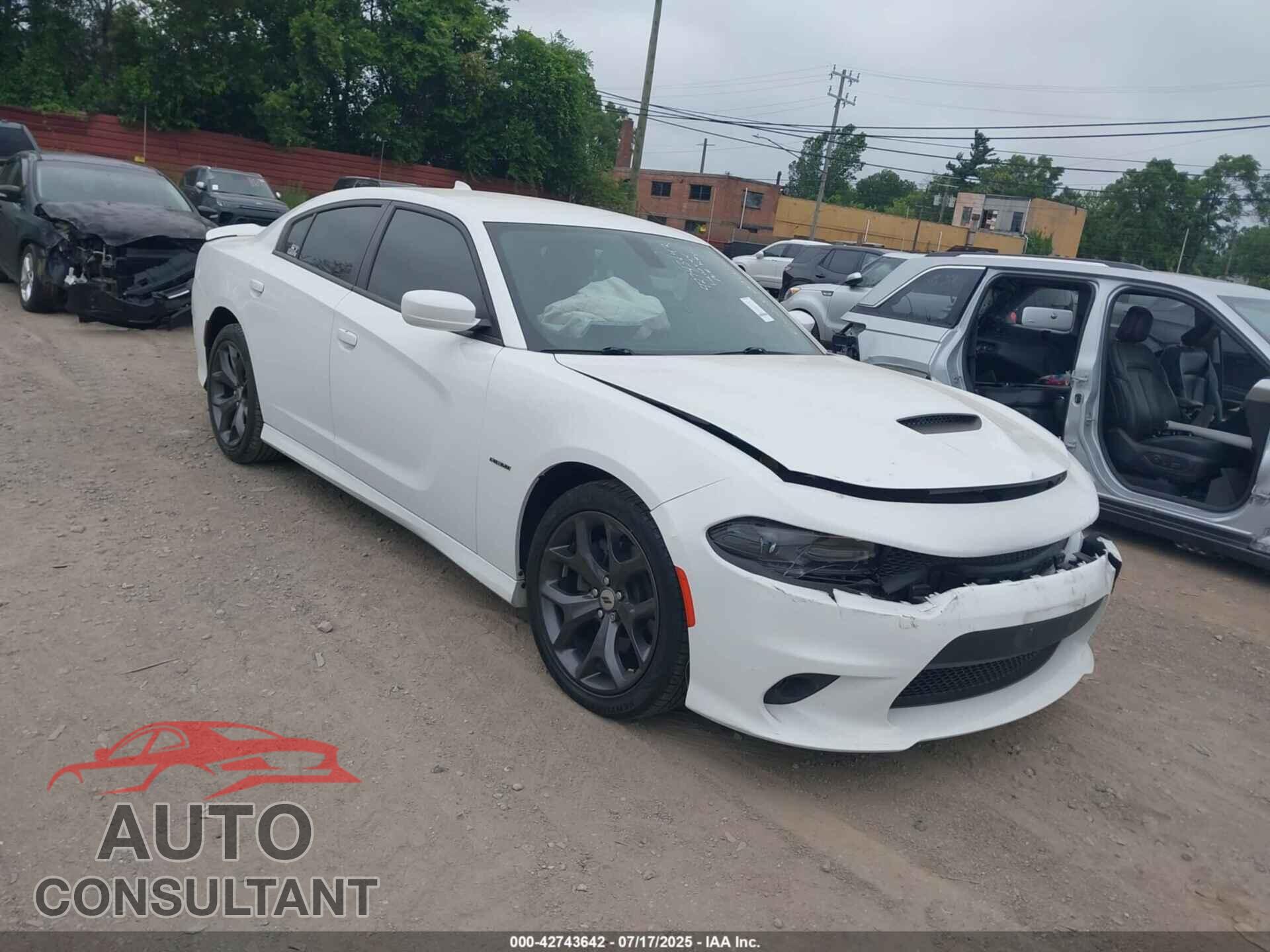 DODGE CHARGER 2019 - 2C3CDXCT2KH738434