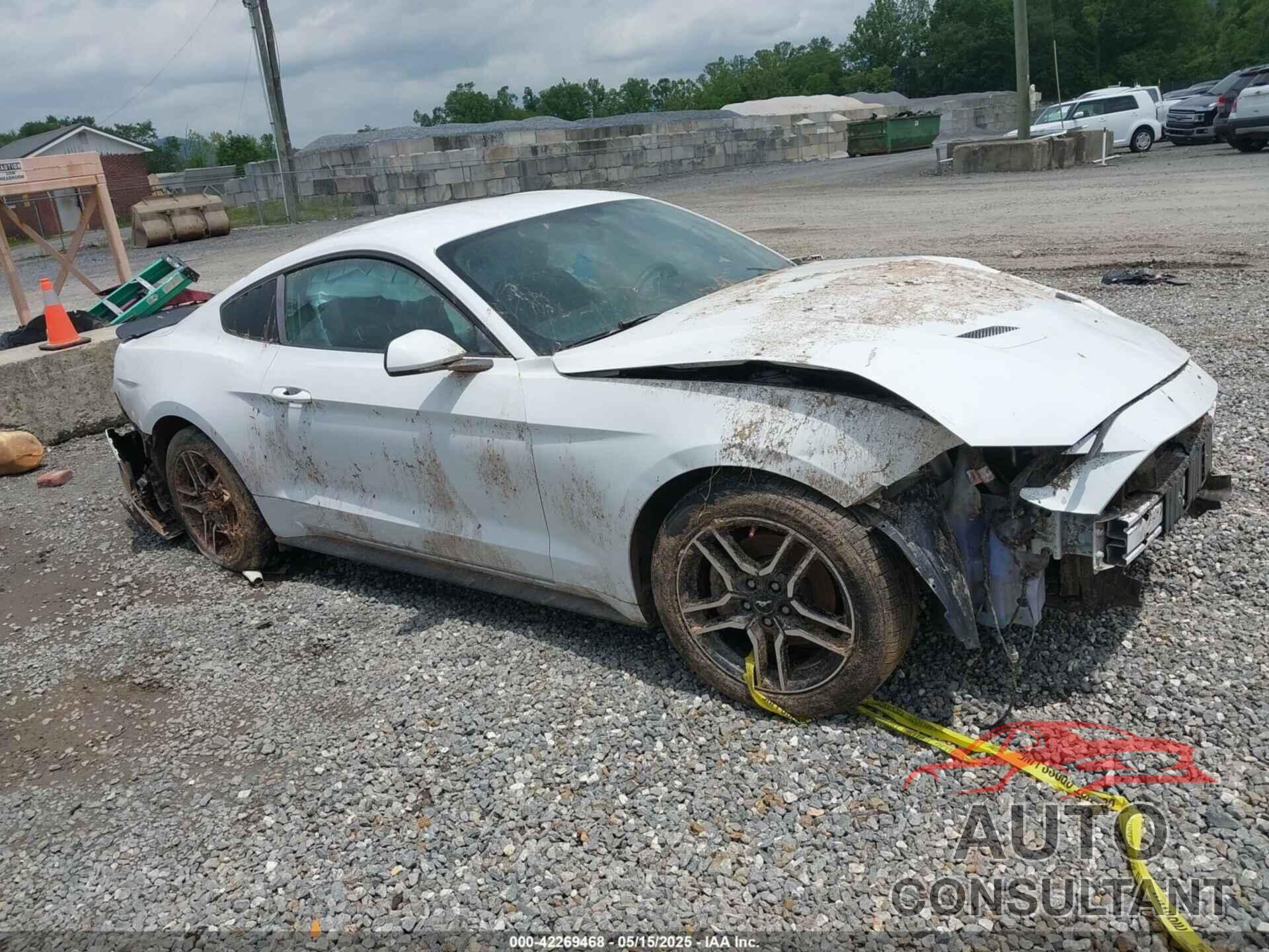 FORD MUSTANG 2019 - 1FA6P8TH8K5114605