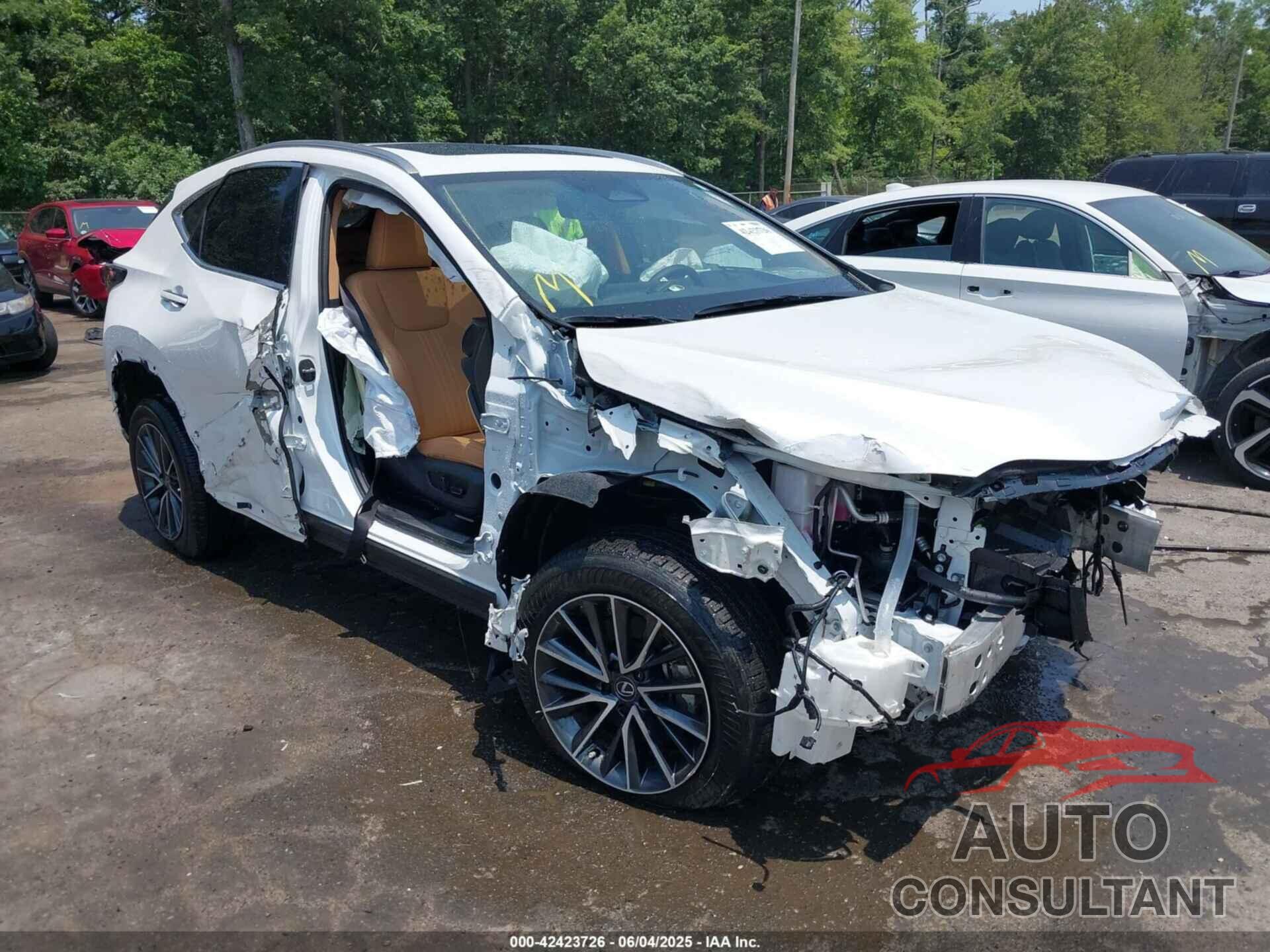LEXUS NX 350H 2025 - JTJGKCEZXS5024049