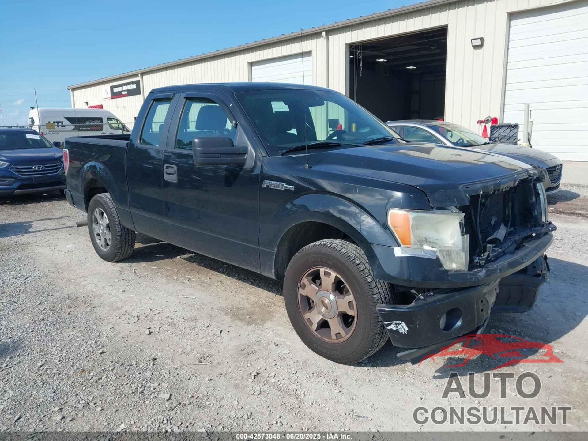 FORD F-150 2009 - 1FTRX12W19FA20343