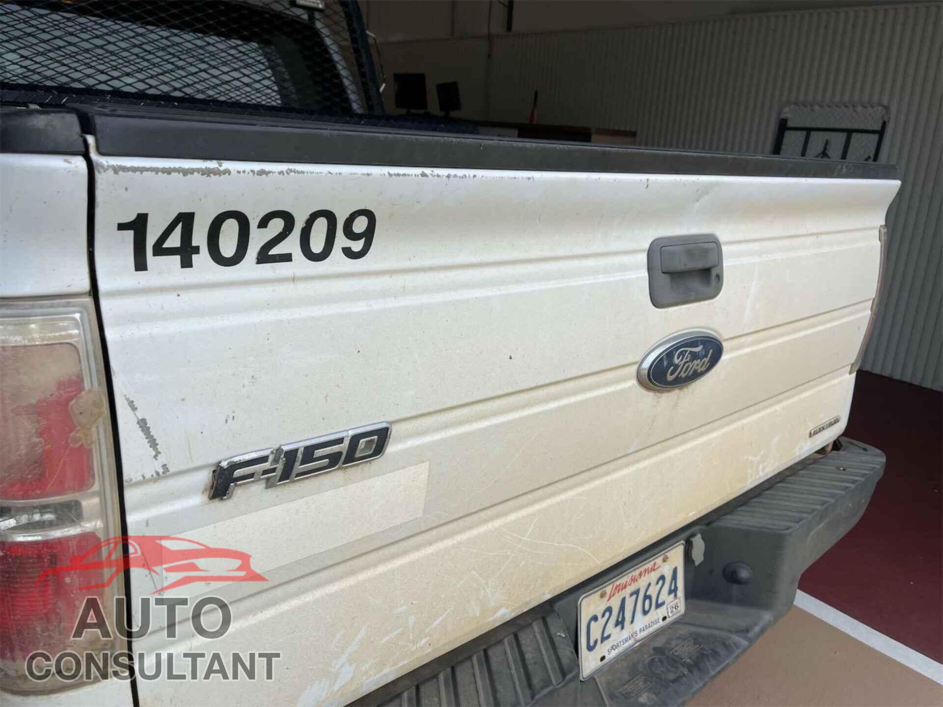 FORD F150 2014 - 1FTFX1EF4EKE59231