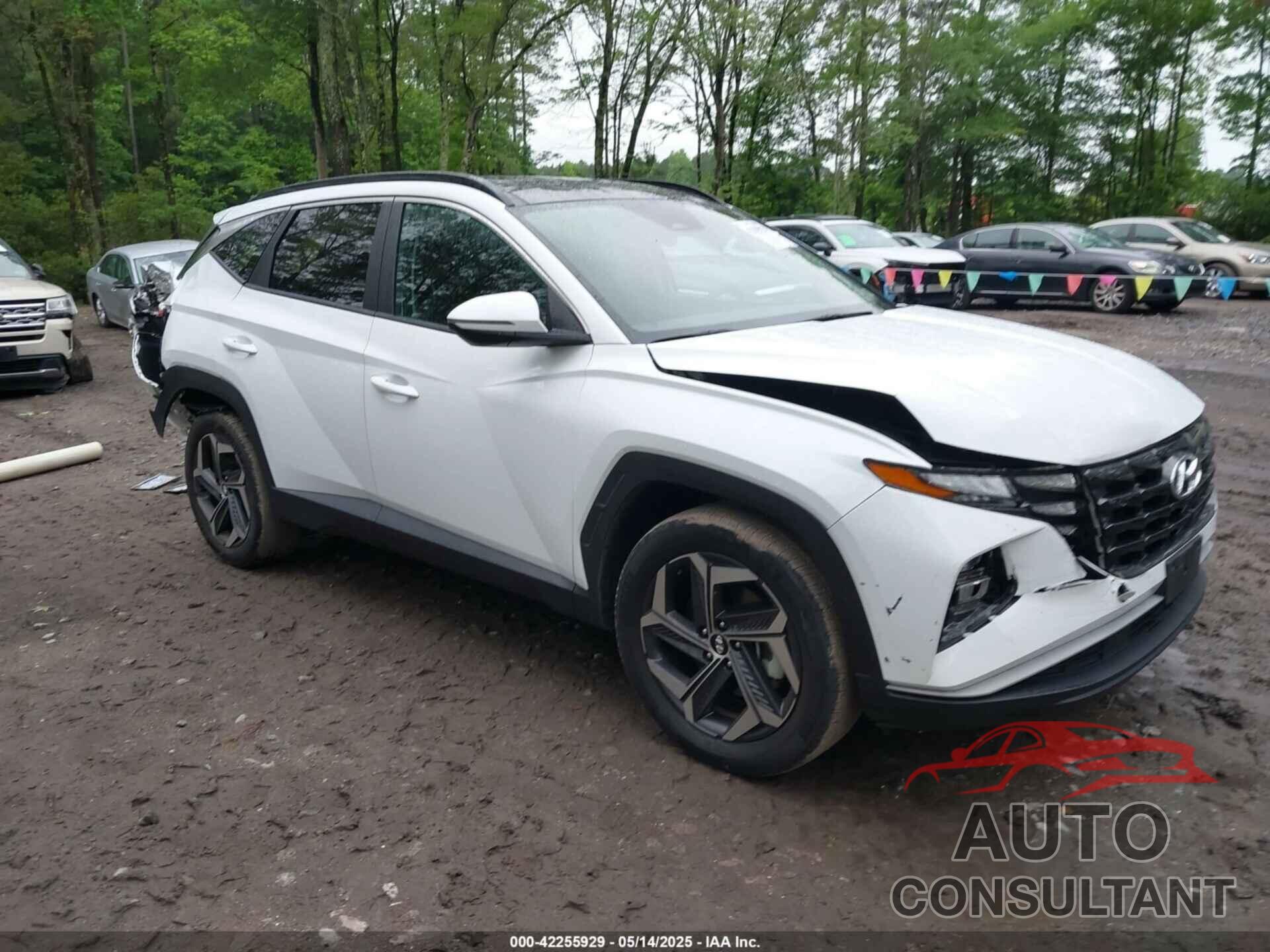 HYUNDAI TUCSON 2022 - KM8JFCA12NU060272