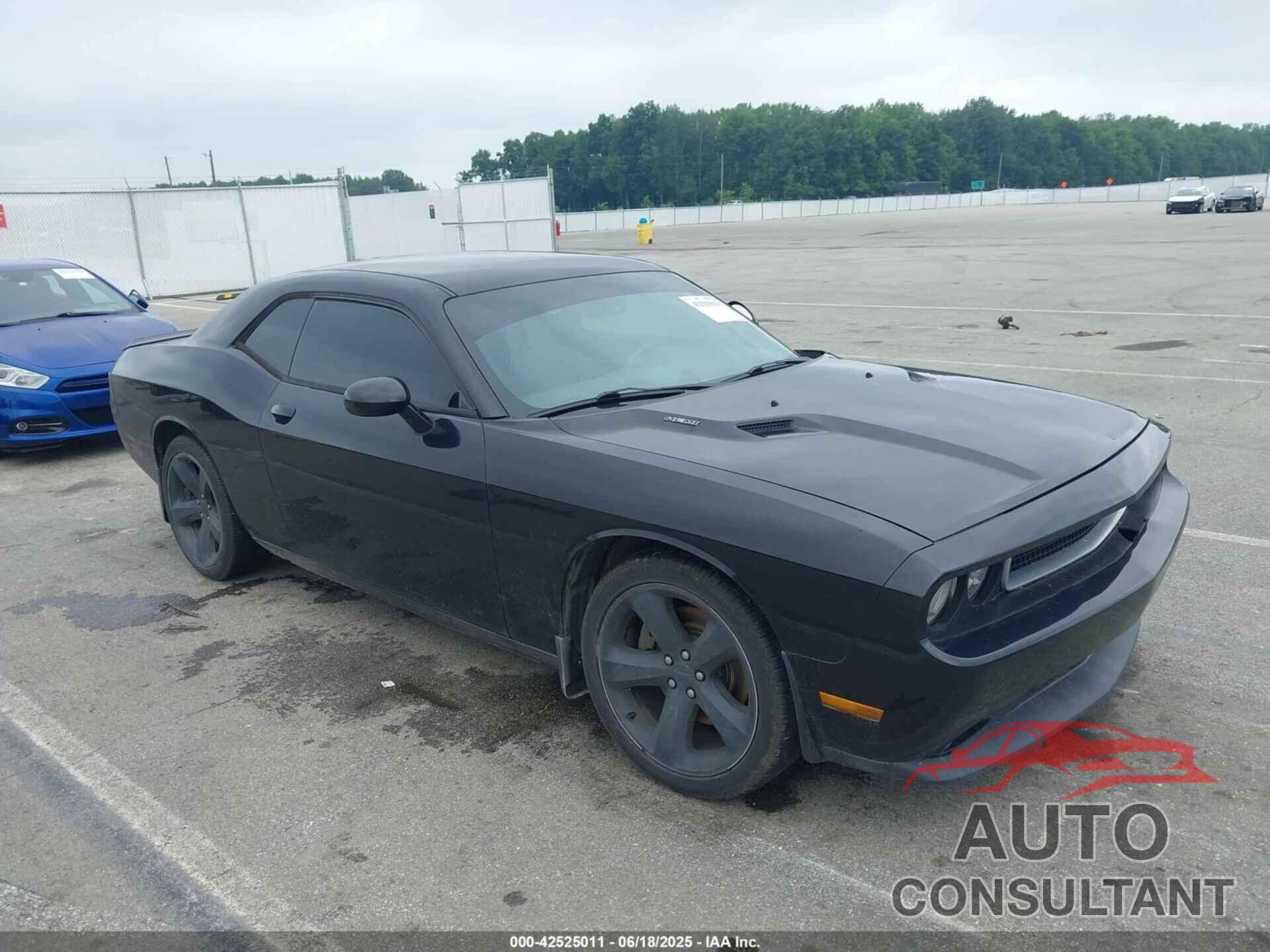 DODGE CHALLENGER 2014 - 2C3CDYBT9EH205332
