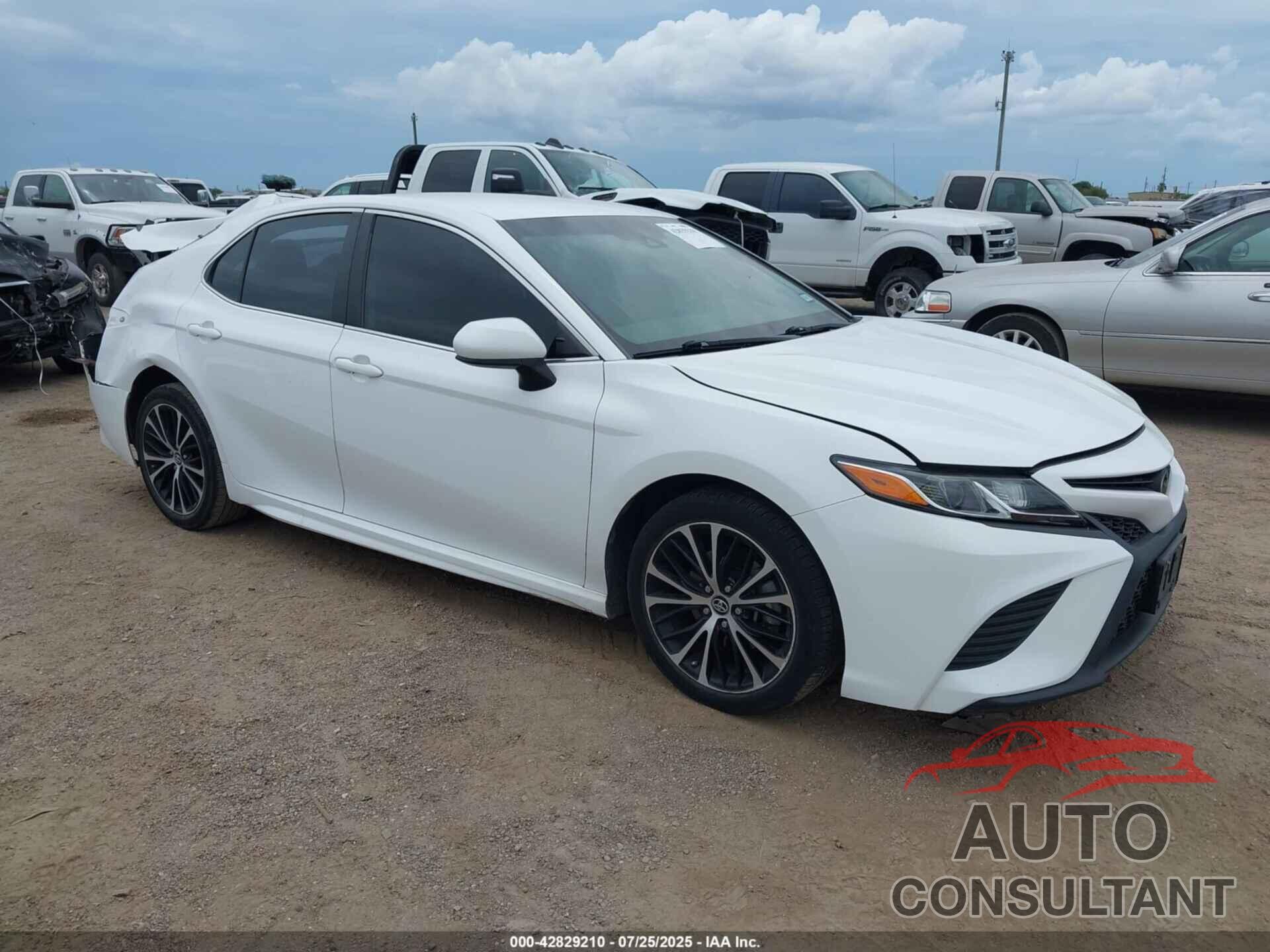 TOYOTA CAMRY 2019 - 4T1B11HK7KU774819