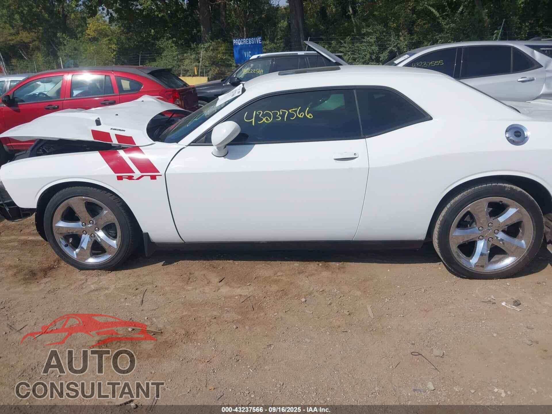 DODGE CHALLENGER 2013 - 2C3CDYBT8DH535302