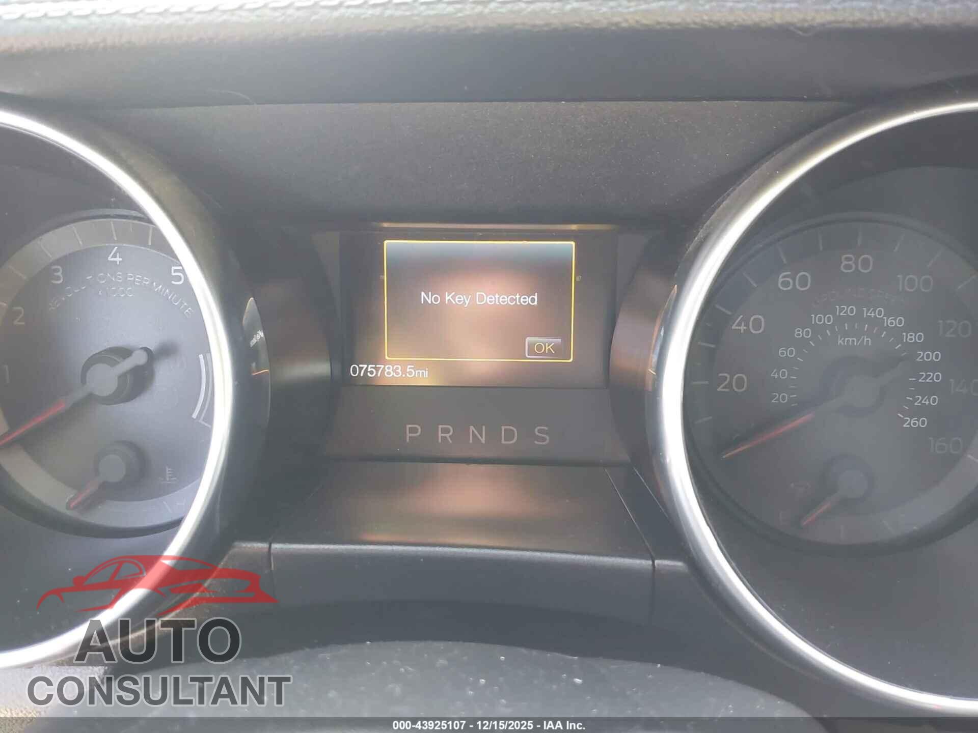 FORD MUSTANG 2019 - 1FA6P8TH3K5201974