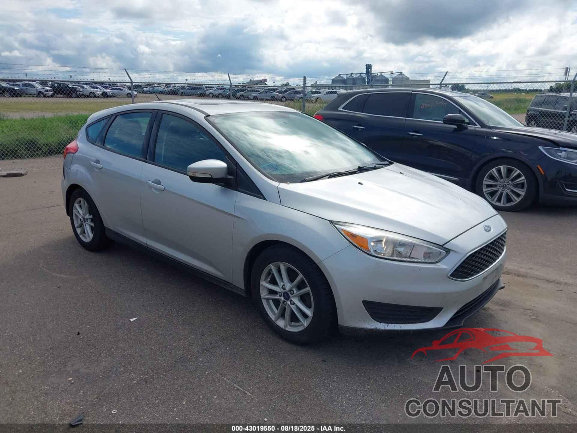 FORD FOCUS 2016 - 1FADP3K21GL350569