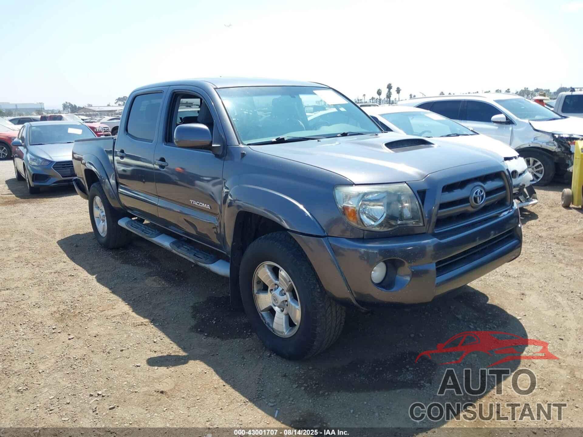 TOYOTA TACOMA 2009 - 3TMJU62N99M087833