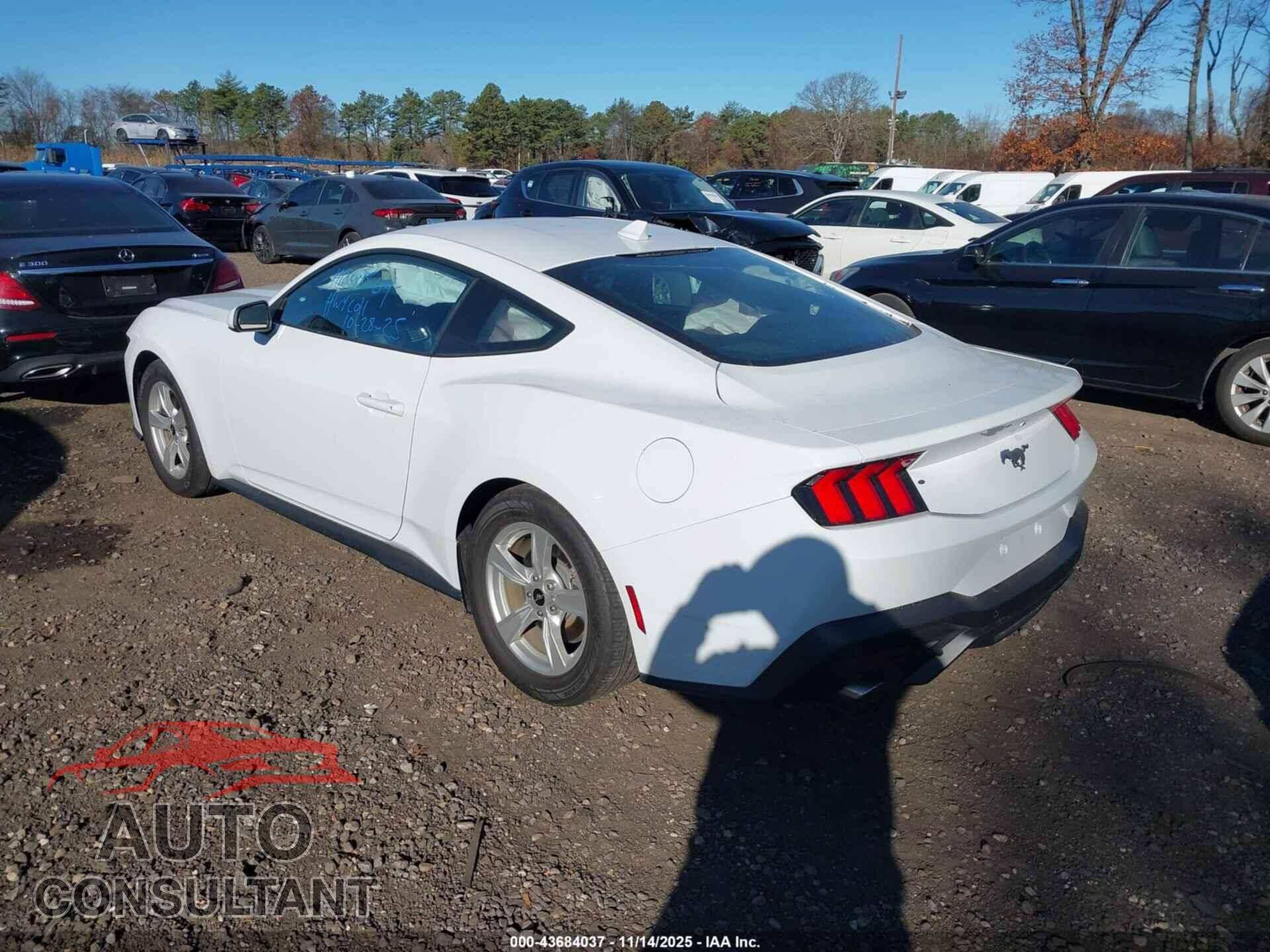 FORD MUSTANG 2024 - 1FA6P8TH4R5121951