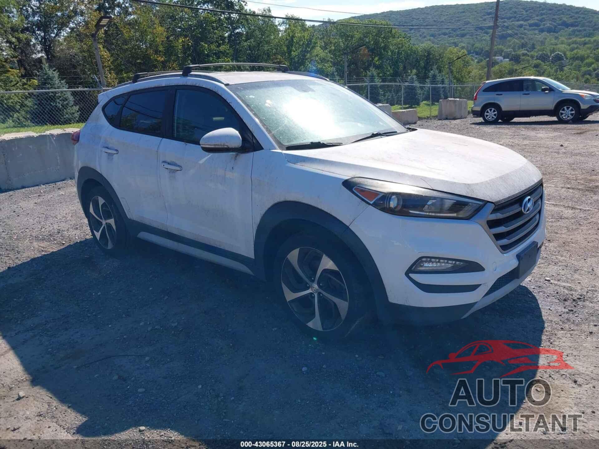 HYUNDAI TUCSON 2017 - KM8J3CA27HU381357