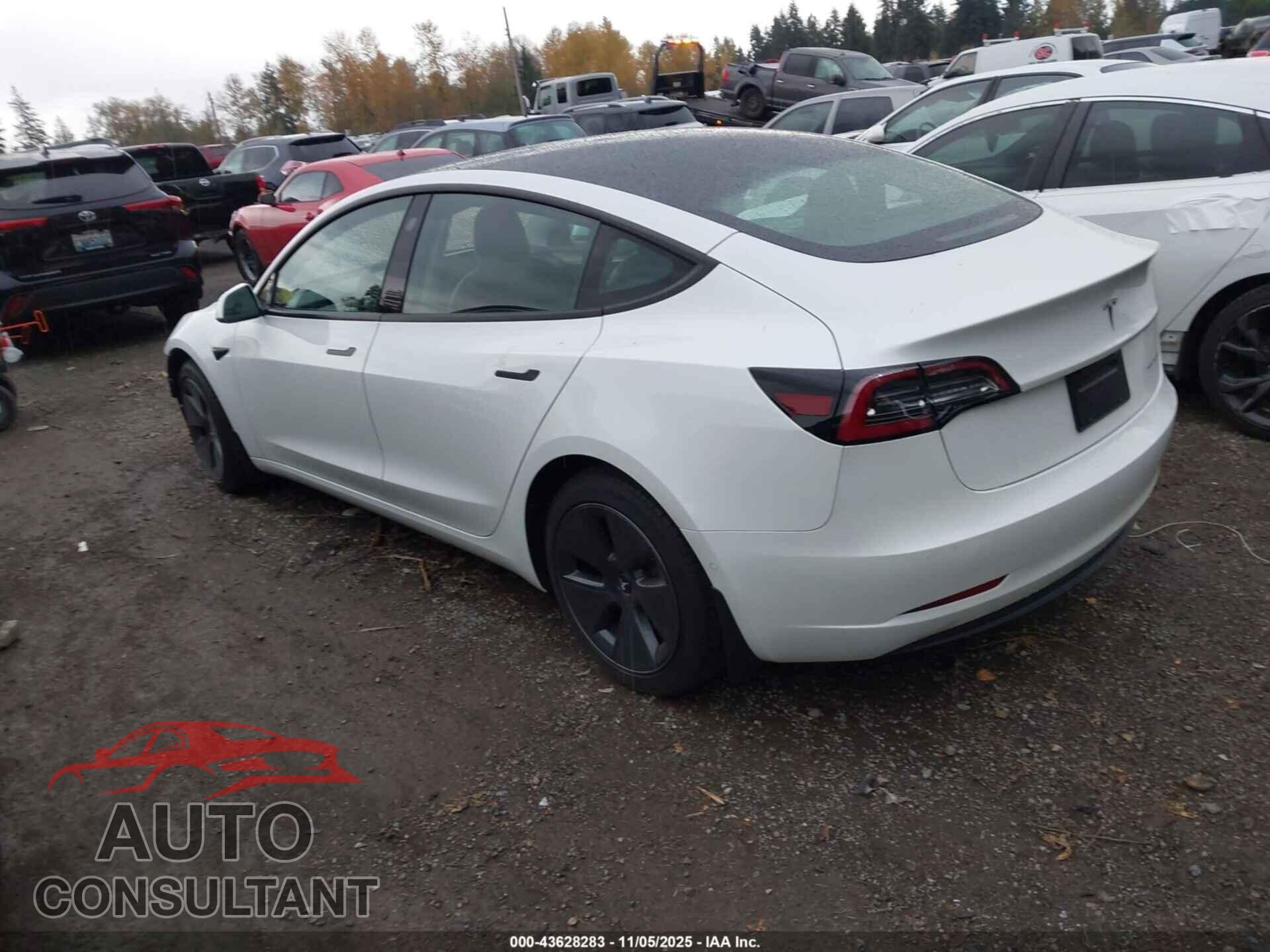 TESLA MODEL 3 2021 - 5YJ3E1EB3MF003111