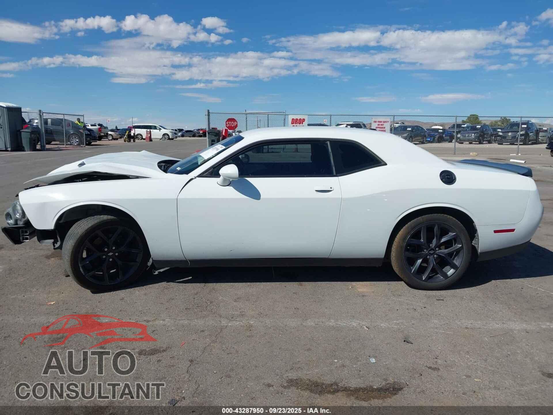 DODGE CHALLENGER 2019 - 2C3CDZAG9KH538412