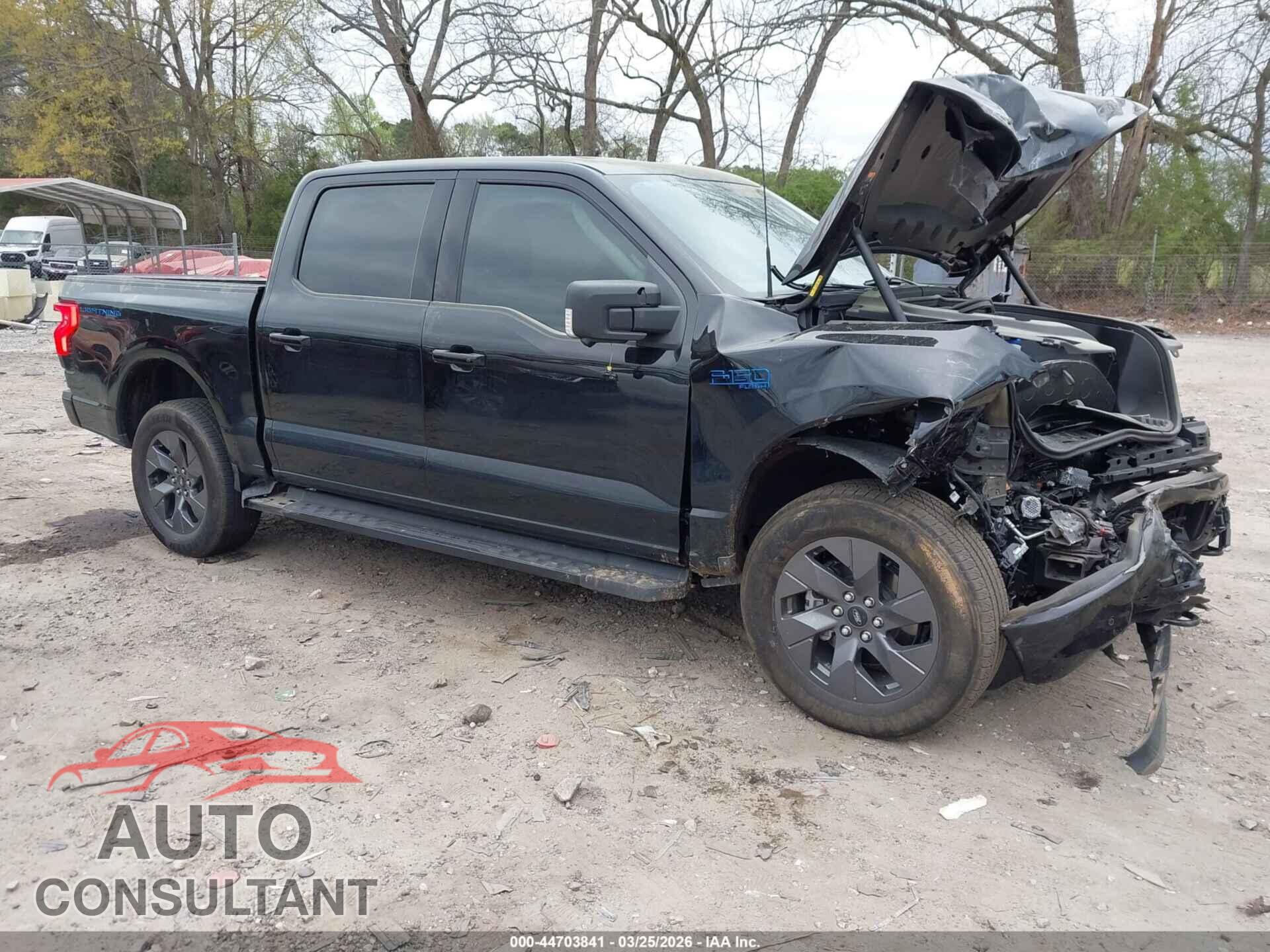 FORD F-150 LIGHTNING 2025 - 1FT6W3LU1SWG25869