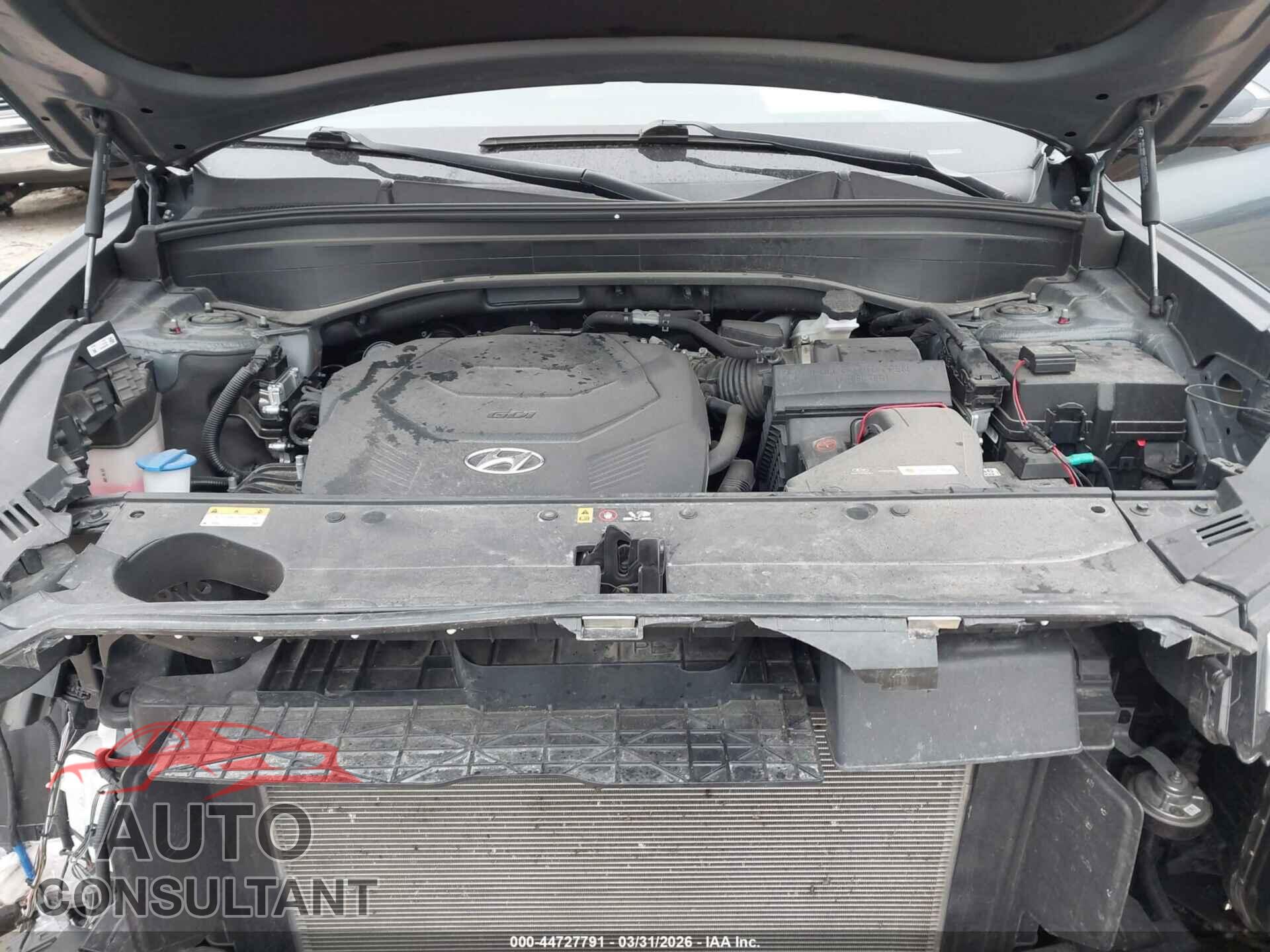 HYUNDAI PALISADE 2023 - KM8R7DGE0PU543892