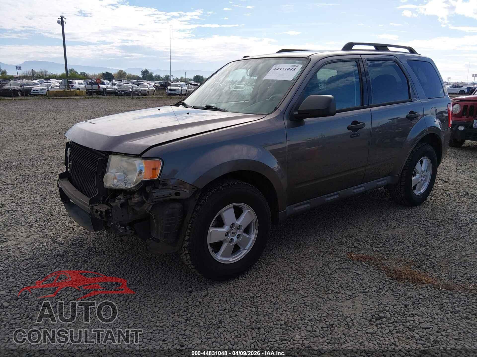 FORD ESCAPE 2010 - 1FMCU9D71AKC89520