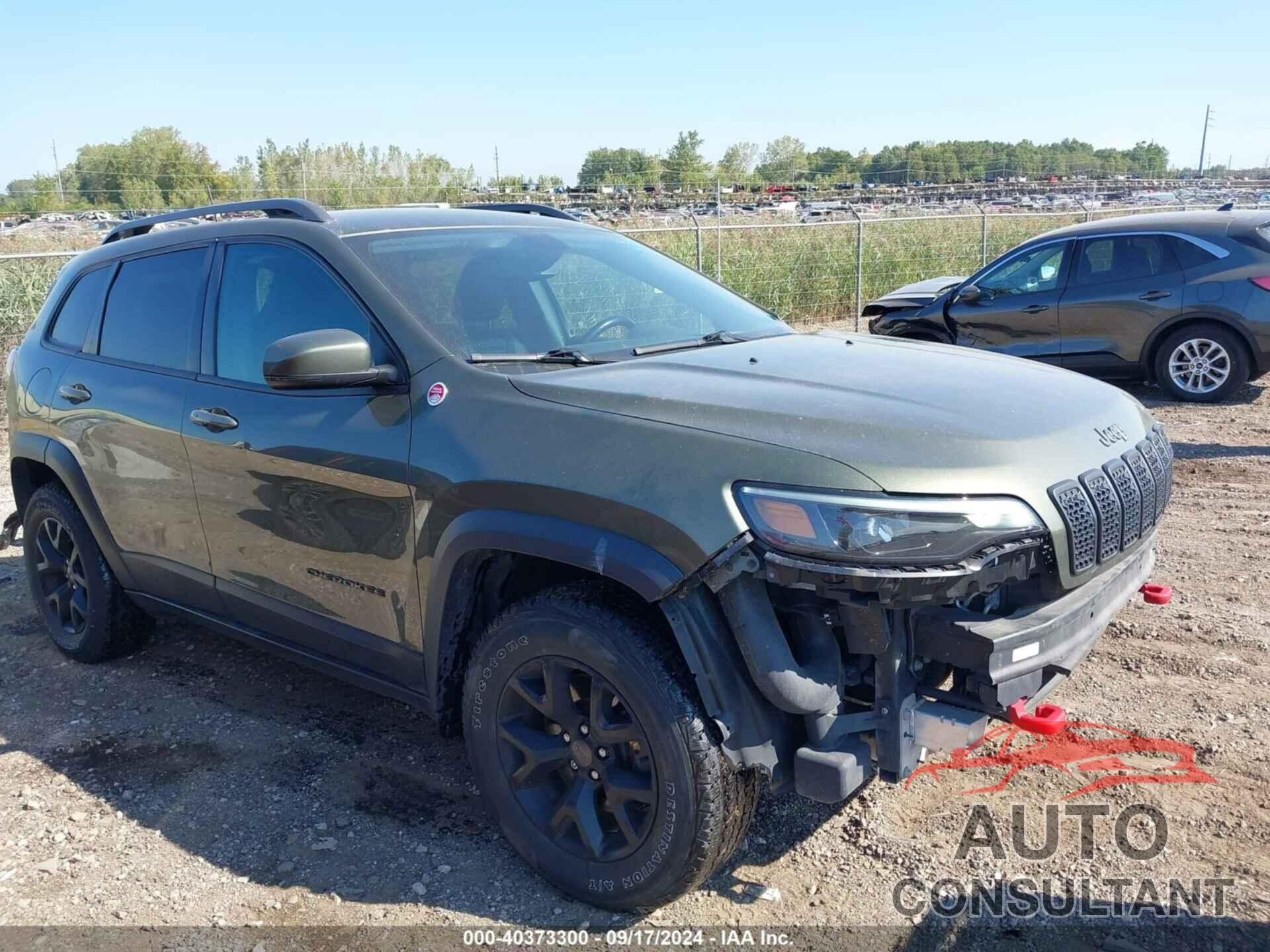 JEEP CHEROKEE 2019 - 1C4PJMBX6KD389591