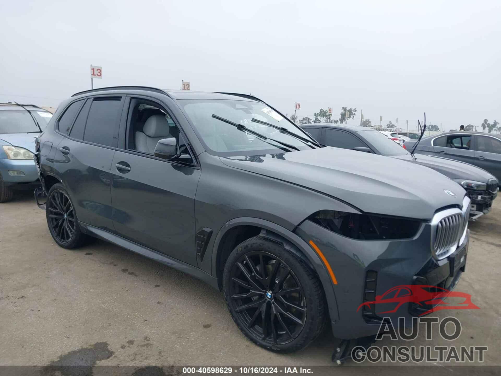 BMW X5 2024 - 5UX13EU09R9T70082