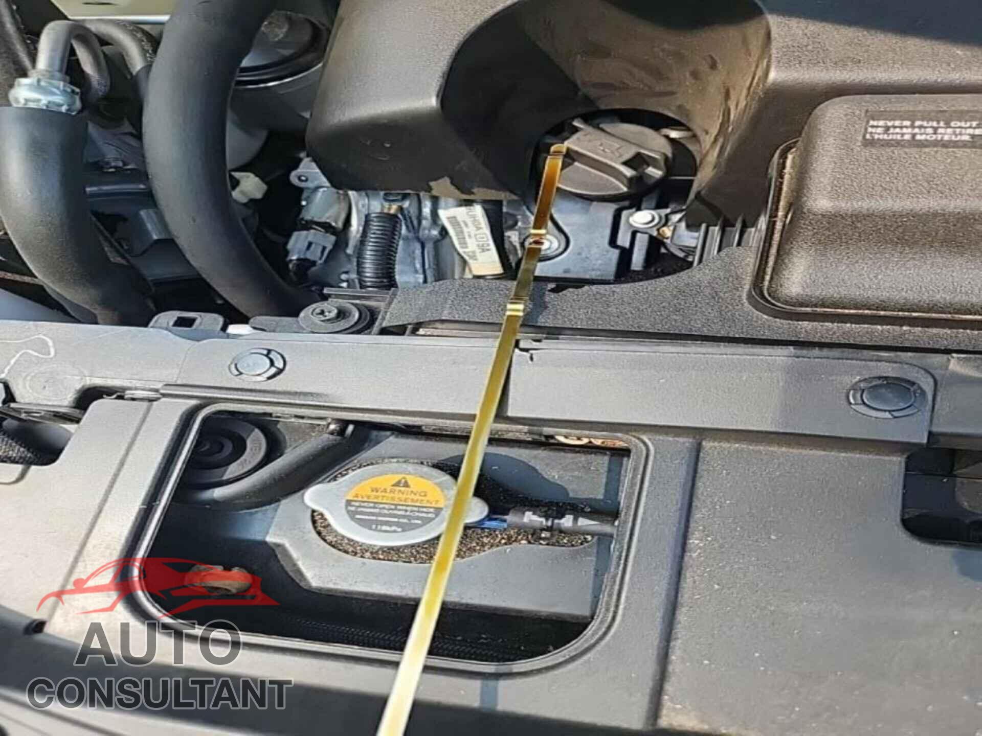 NISSAN MURANO 2023 - 5N1AZ2BS8PC122548