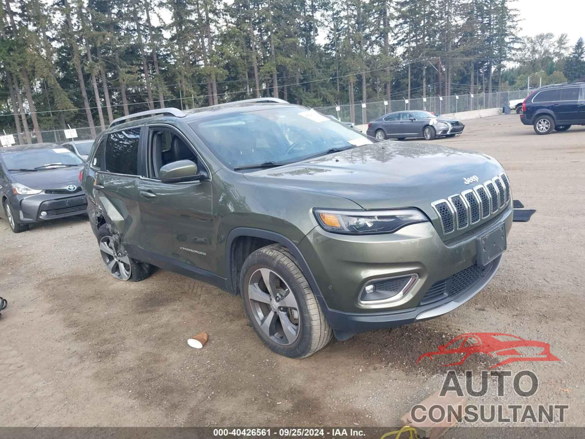 JEEP CHEROKEE 2019 - 1C4PJMDN9KD254049